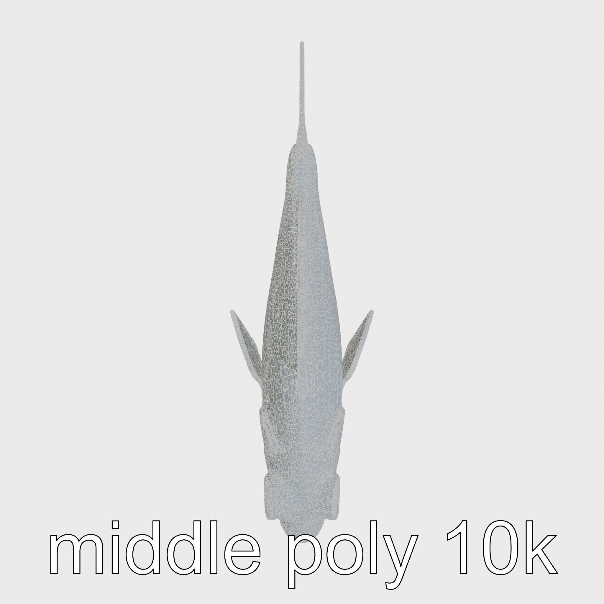 Lanternfish with Bioluminescent Photophores 3D Model Low-poly 3D model_22