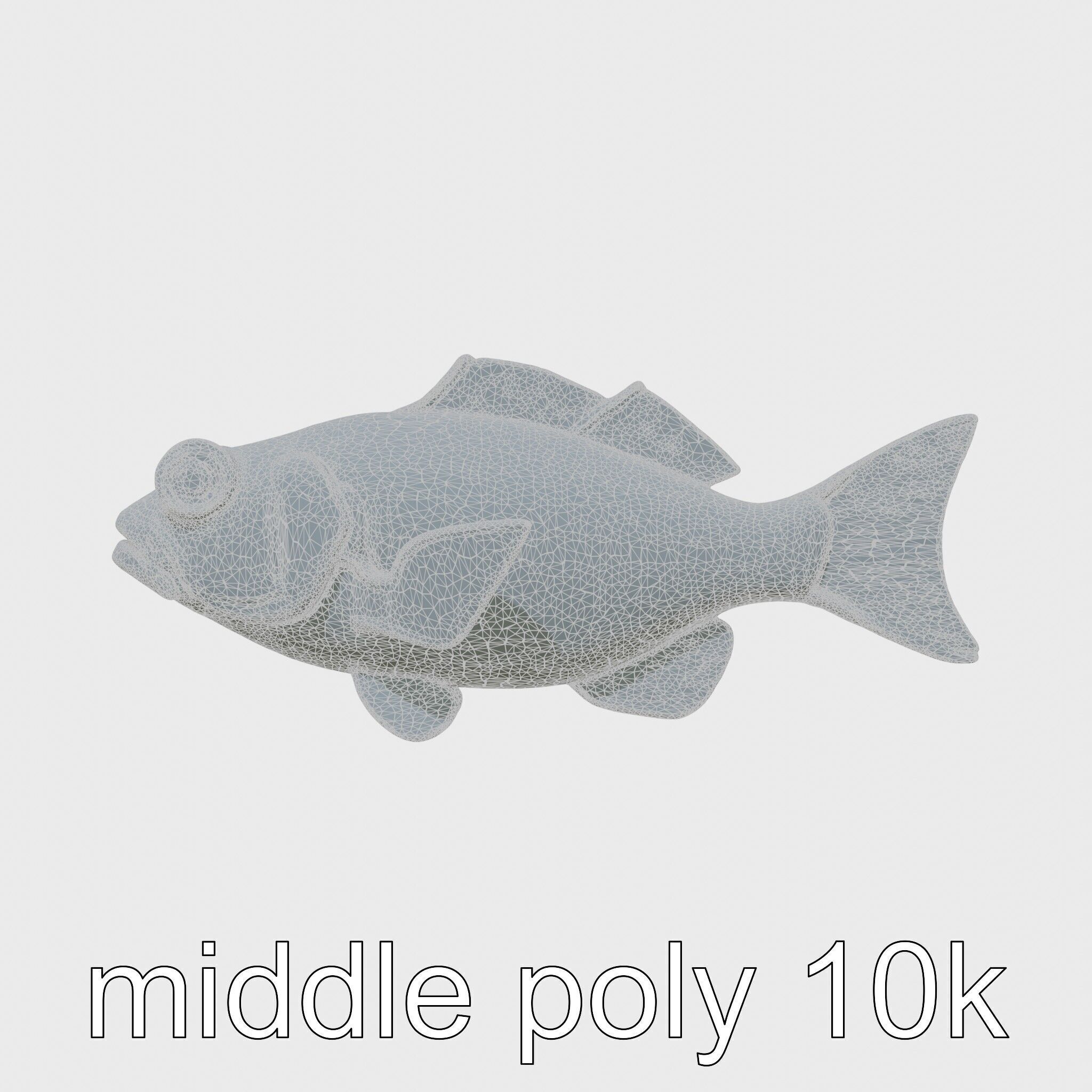 Lanternfish with Bioluminescent Photophores 3D Model Low-poly 3D model_26