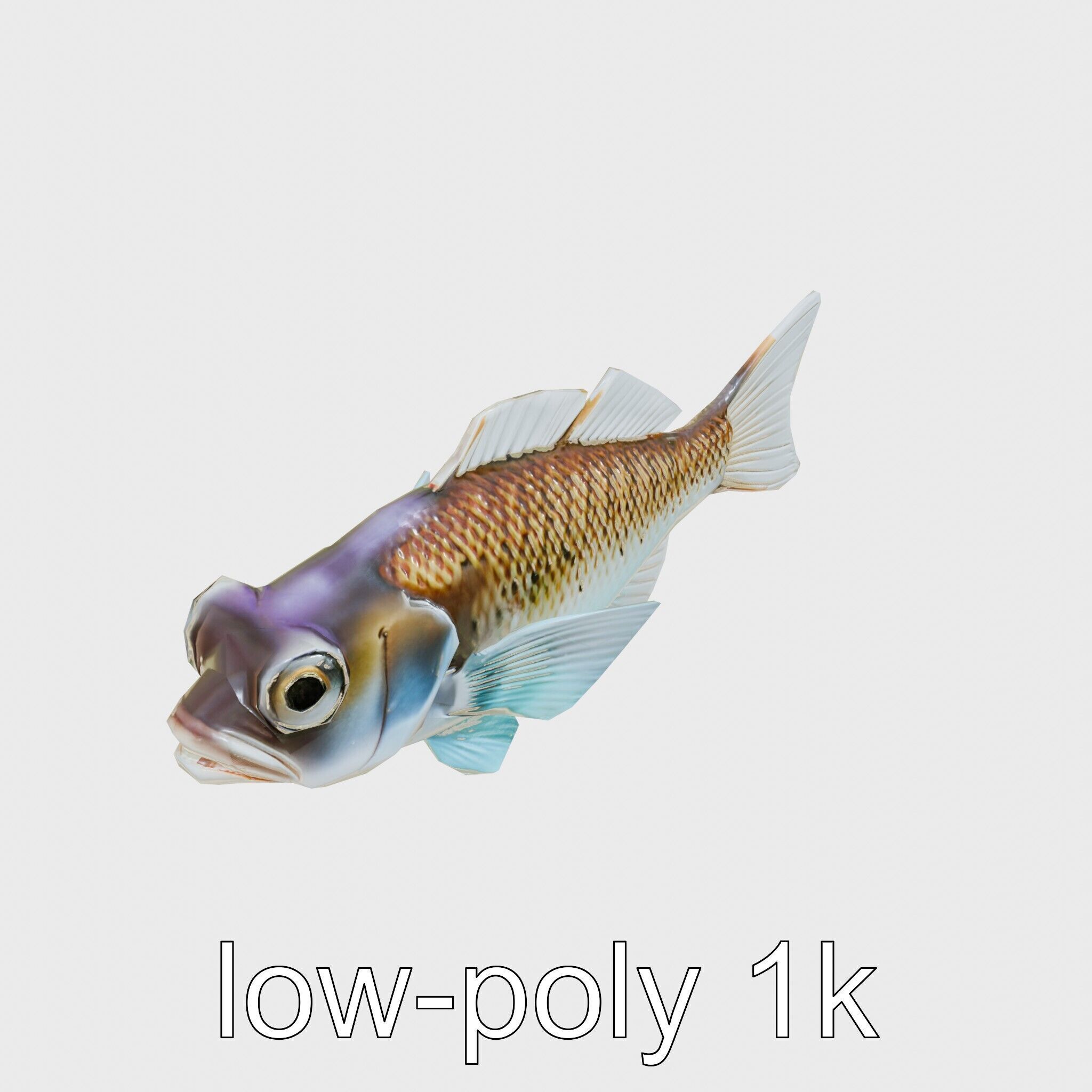 Lanternfish with Bioluminescent Photophores 3D Model Low-poly 3D model_10