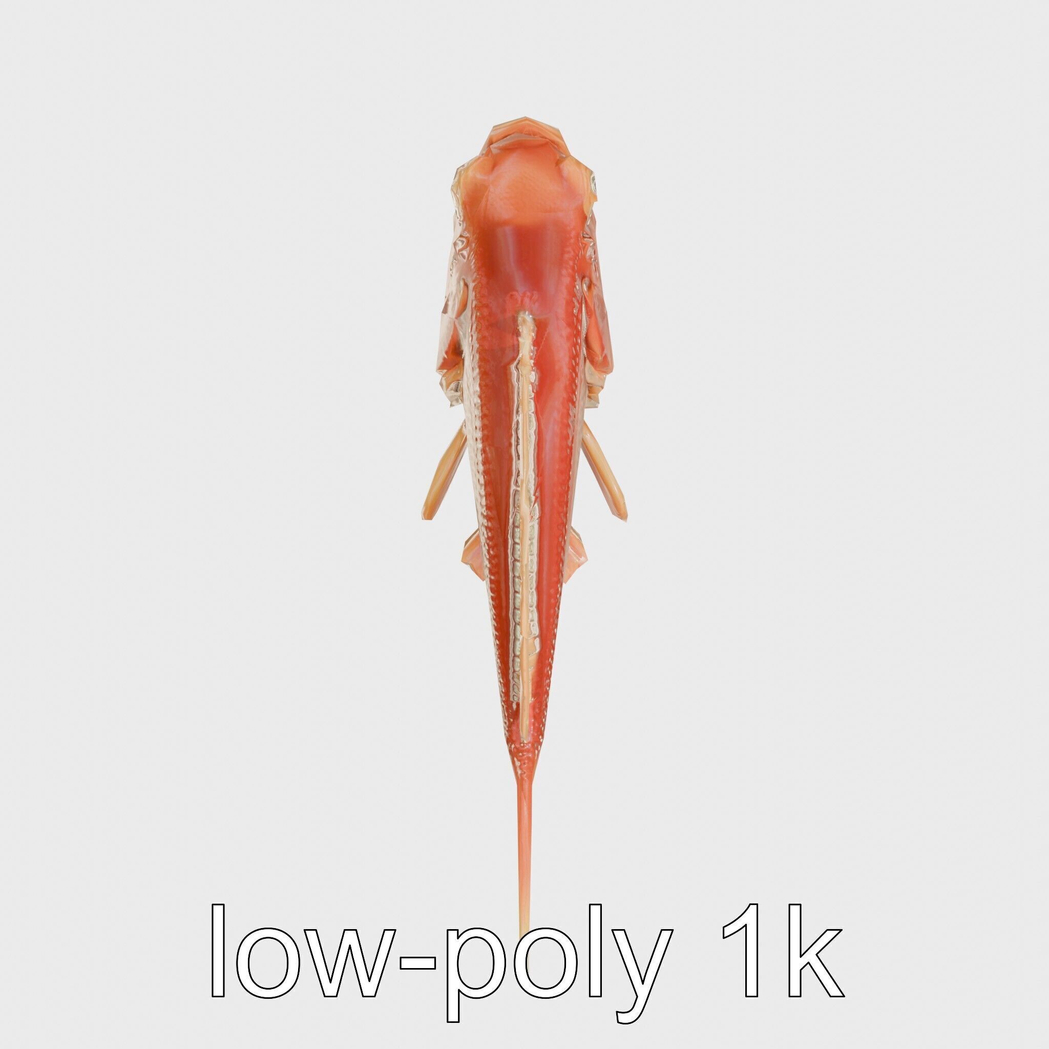 Red Handfish Model with Hand-like Fins Low-poly 3D model_16