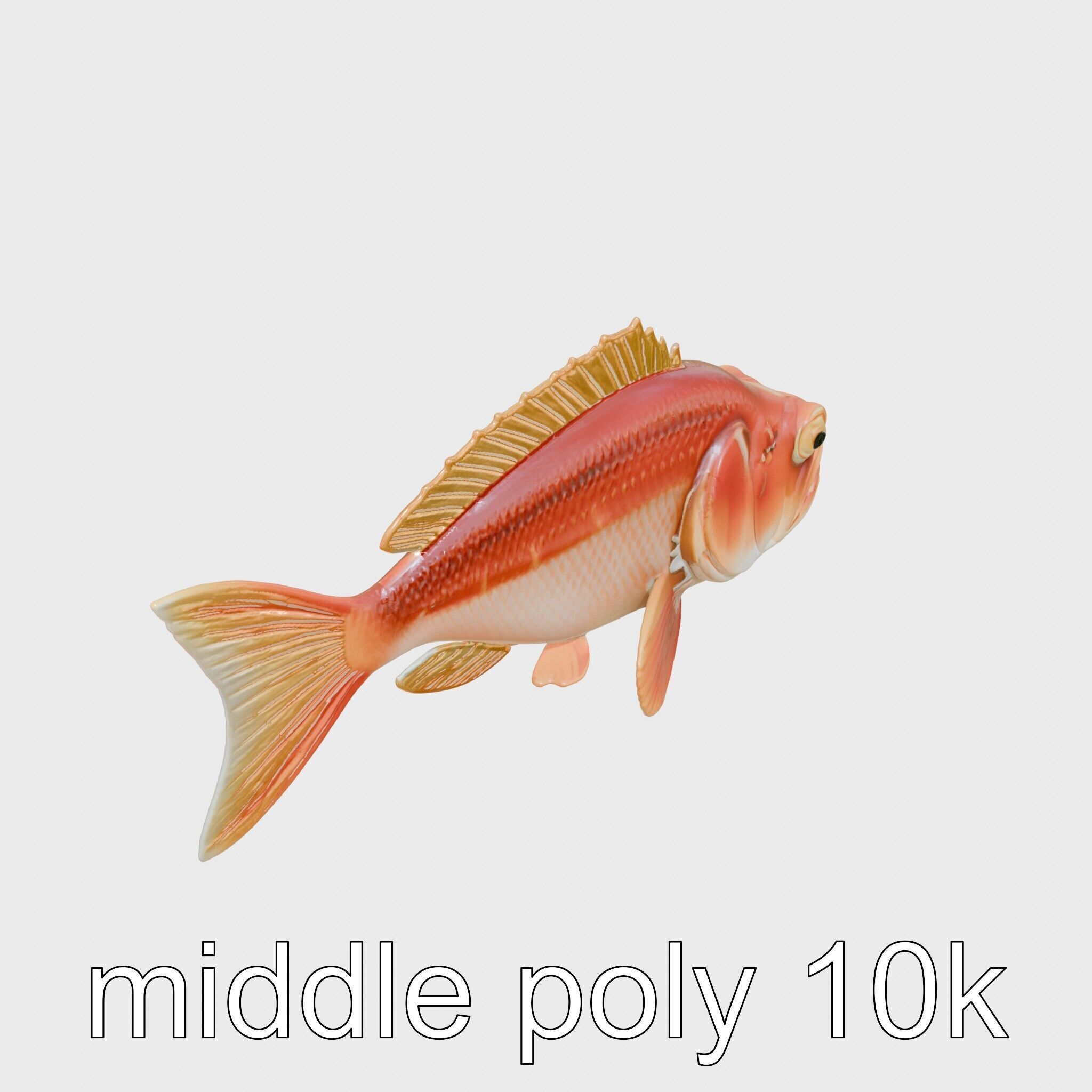 Red Handfish Model with Hand-like Fins Low-poly 3D model_8