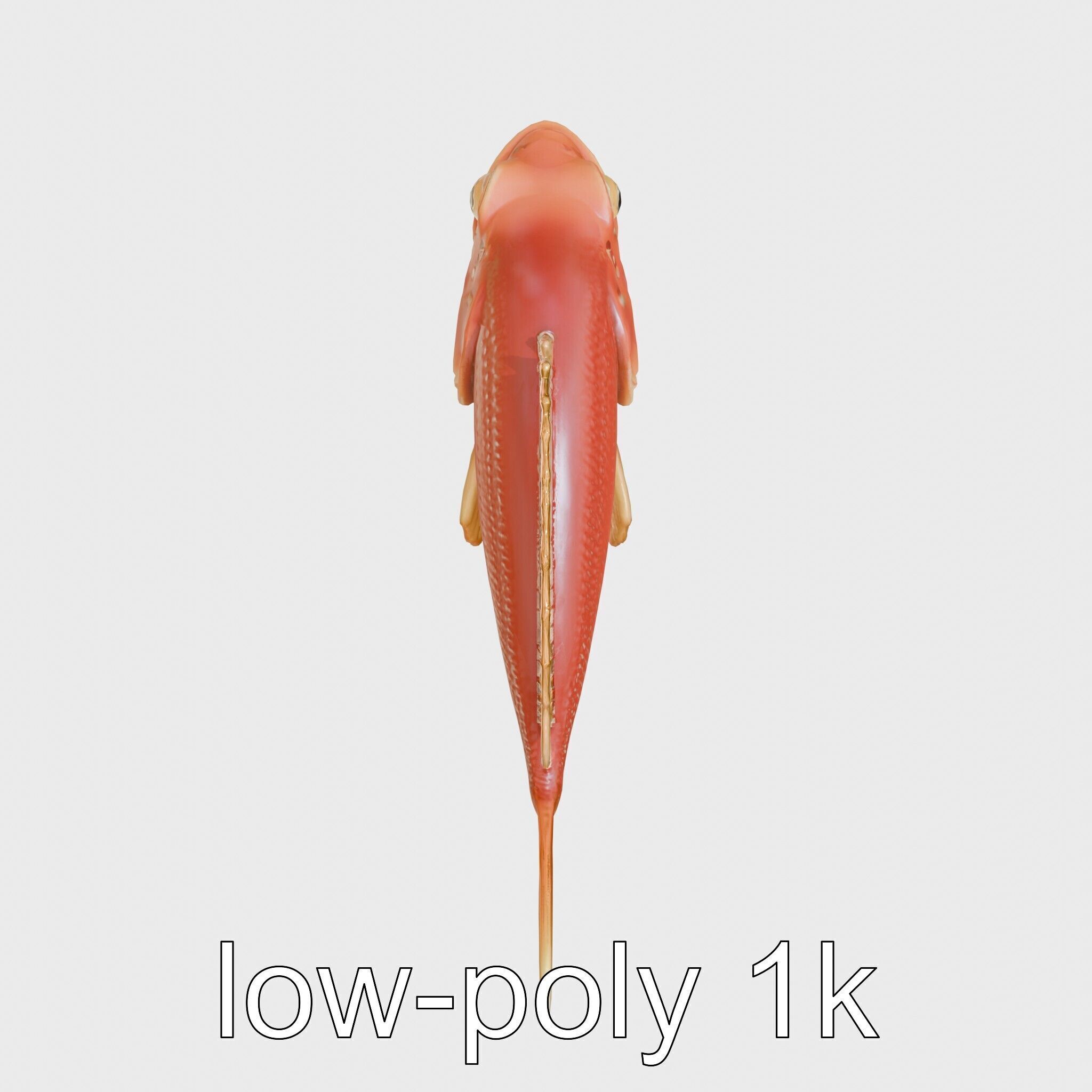 Red Handfish Model with Hand-like Fins Low-poly 3D model_18