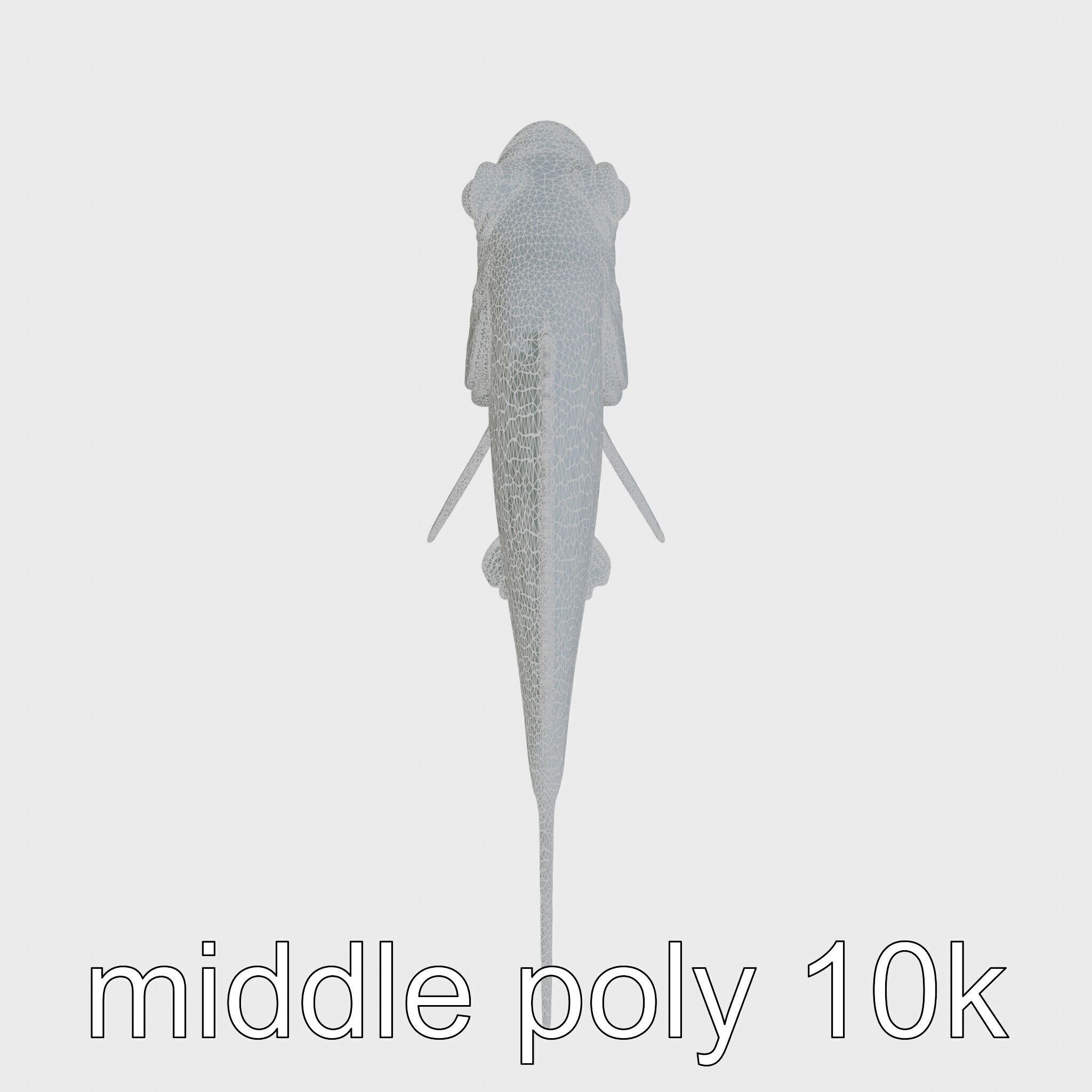 Red Handfish Model with Hand-like Fins Low-poly 3D model_22