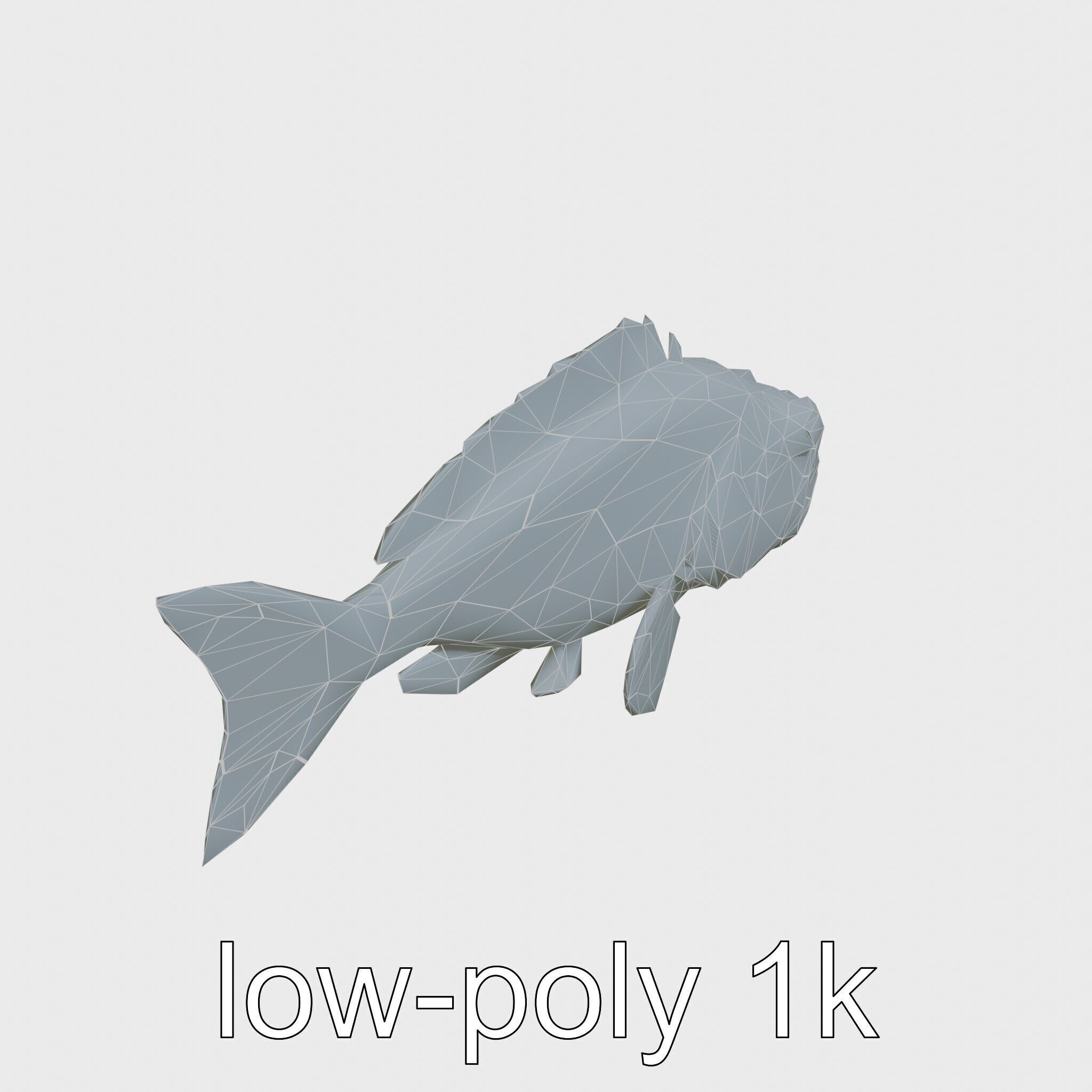 Red Handfish Model with Hand-like Fins Low-poly 3D model_28