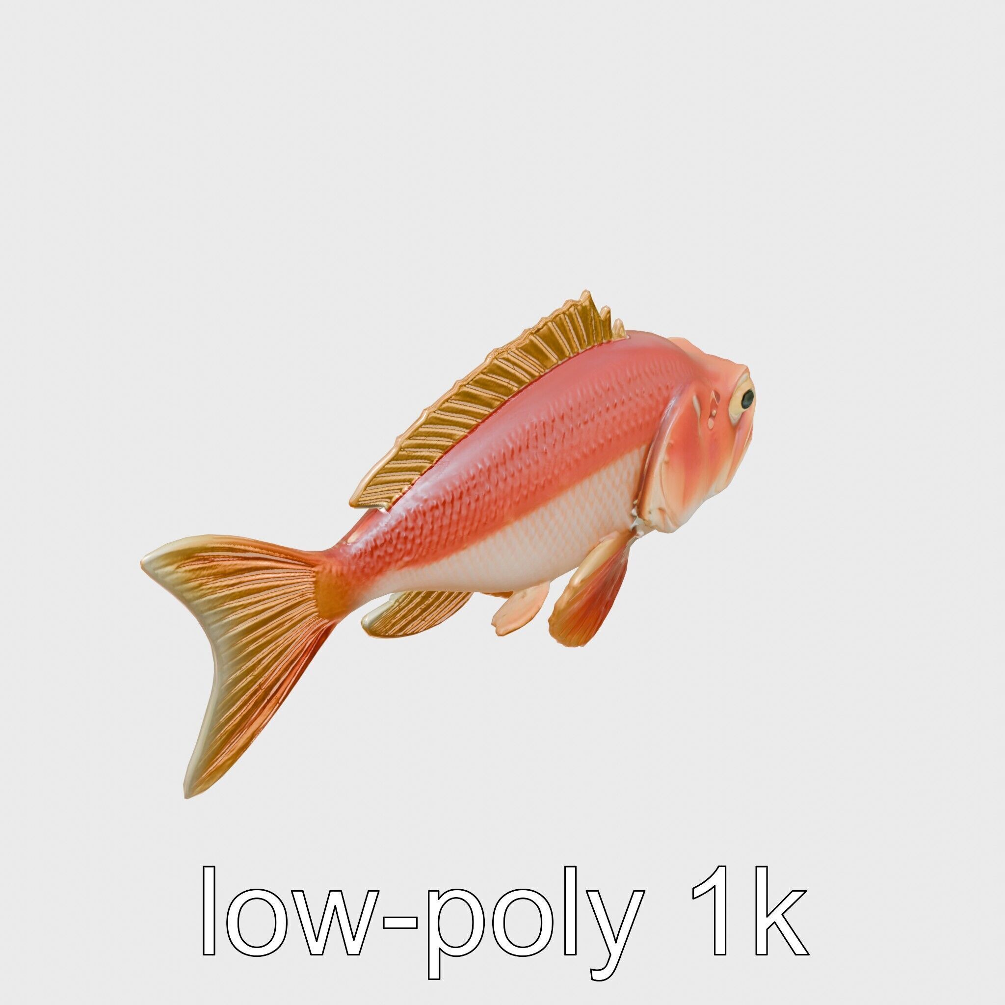 Red Handfish Model with Hand-like Fins Low-poly 3D model_9