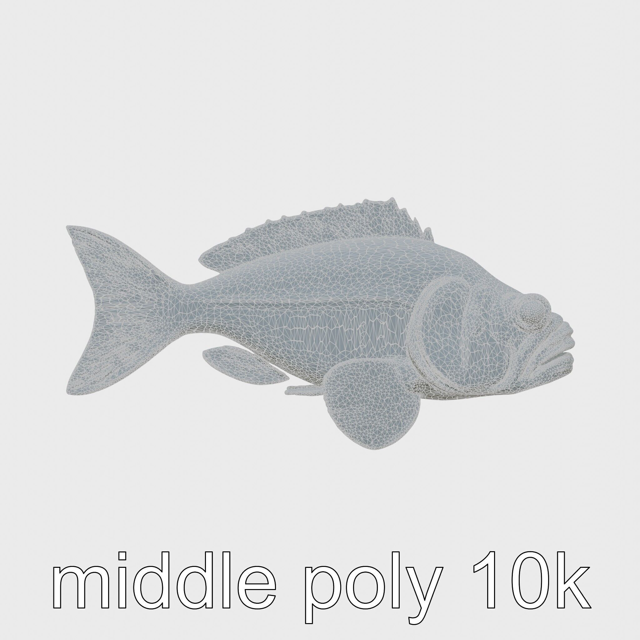 Red Handfish Model with Hand-like Fins Low-poly 3D model_27