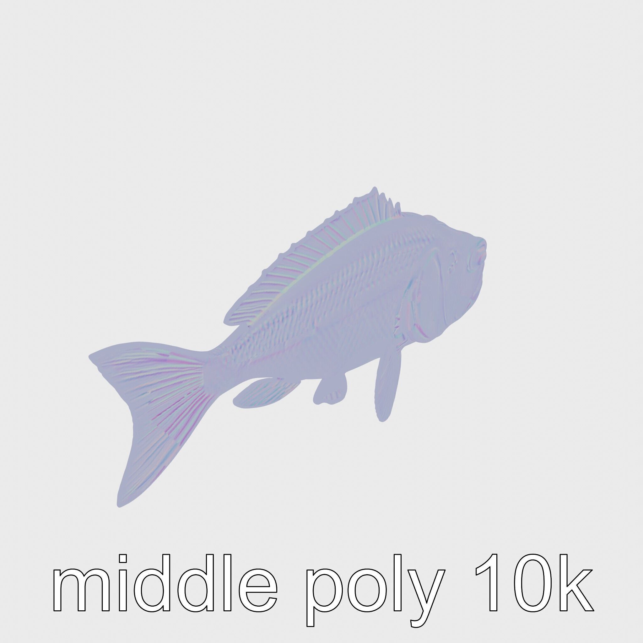 Red Handfish Model with Hand-like Fins Low-poly 3D model_13