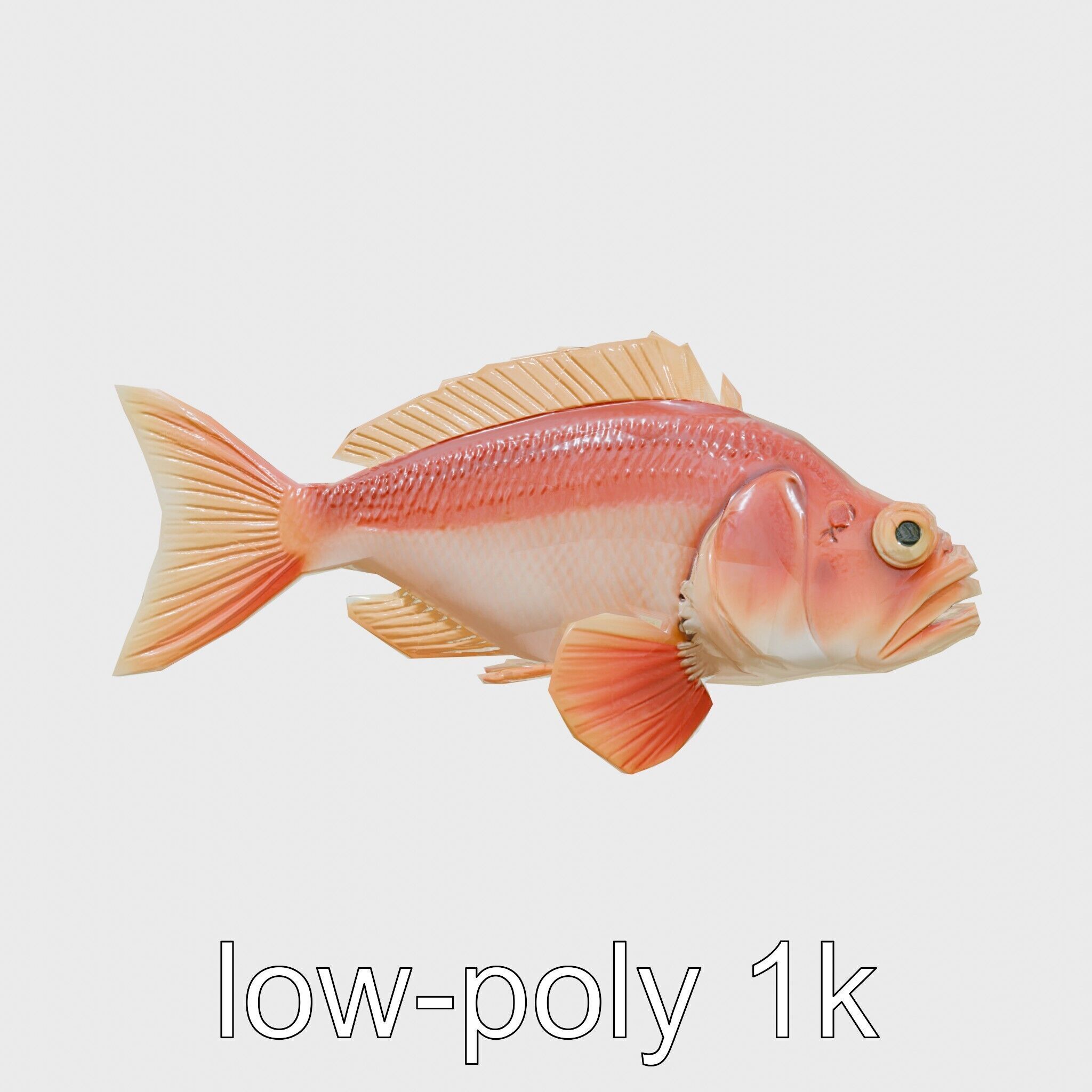 Red Handfish Model with Hand-like Fins Low-poly 3D model_14