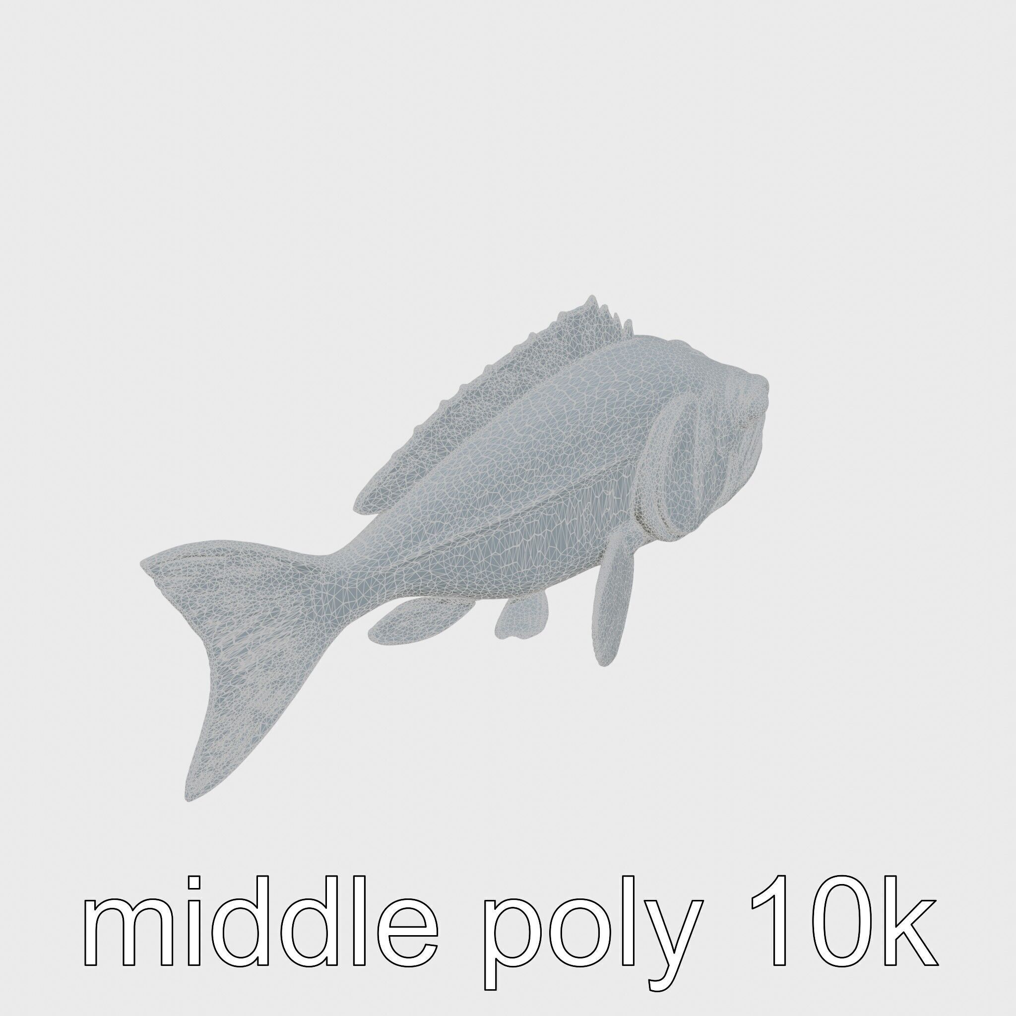 Red Handfish Model with Hand-like Fins Low-poly 3D model_20