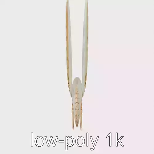 Sea Butterfly with Wing-Like Appendages Model