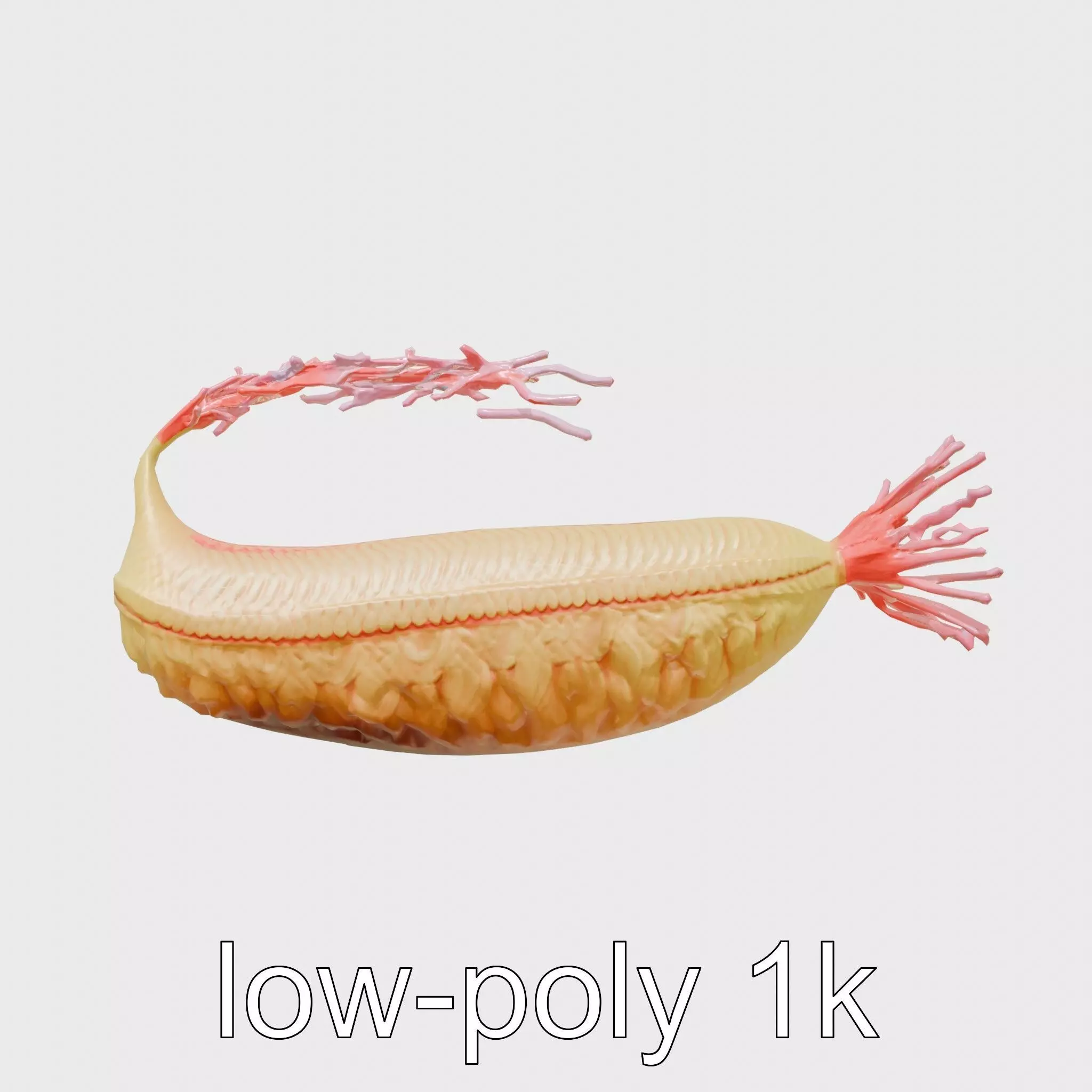 Giant Tube Worm Model with Red Plume Low-poly 3D model_0