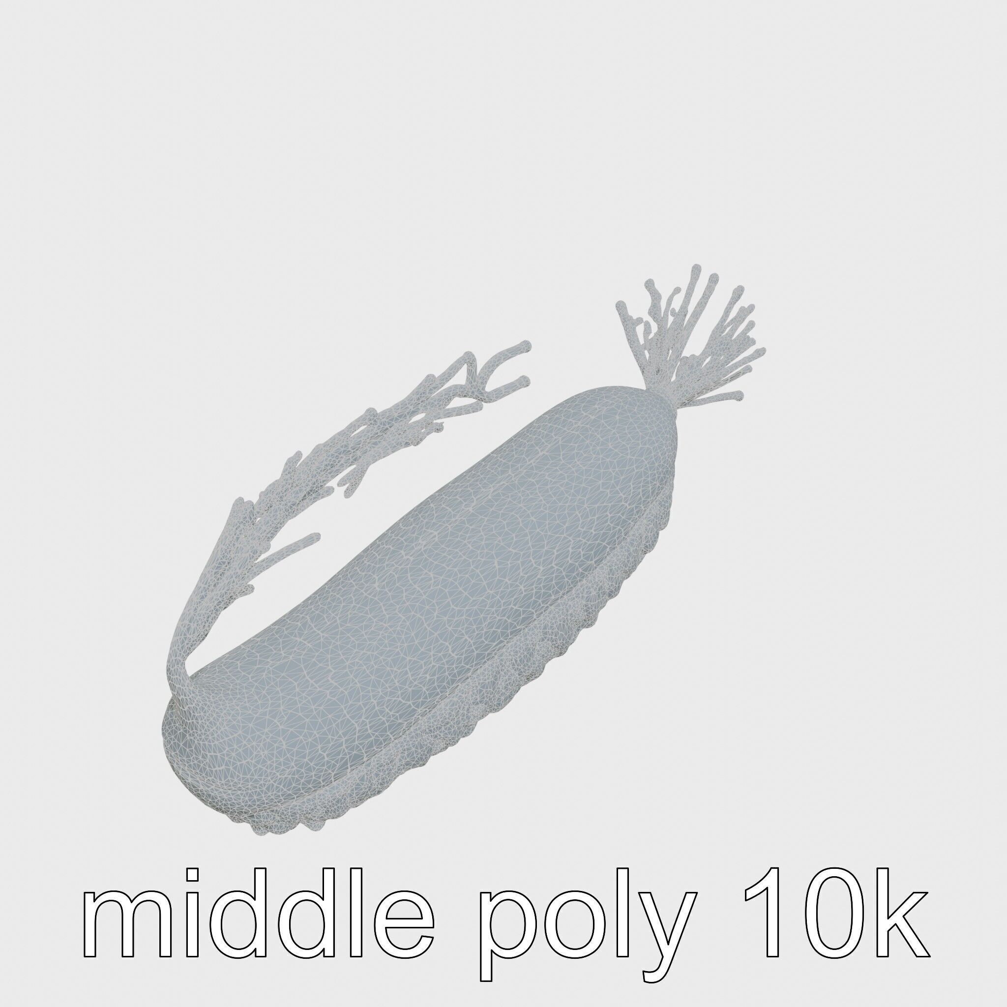 Giant Tube Worm Model with Red Plume Low-poly 3D model_12