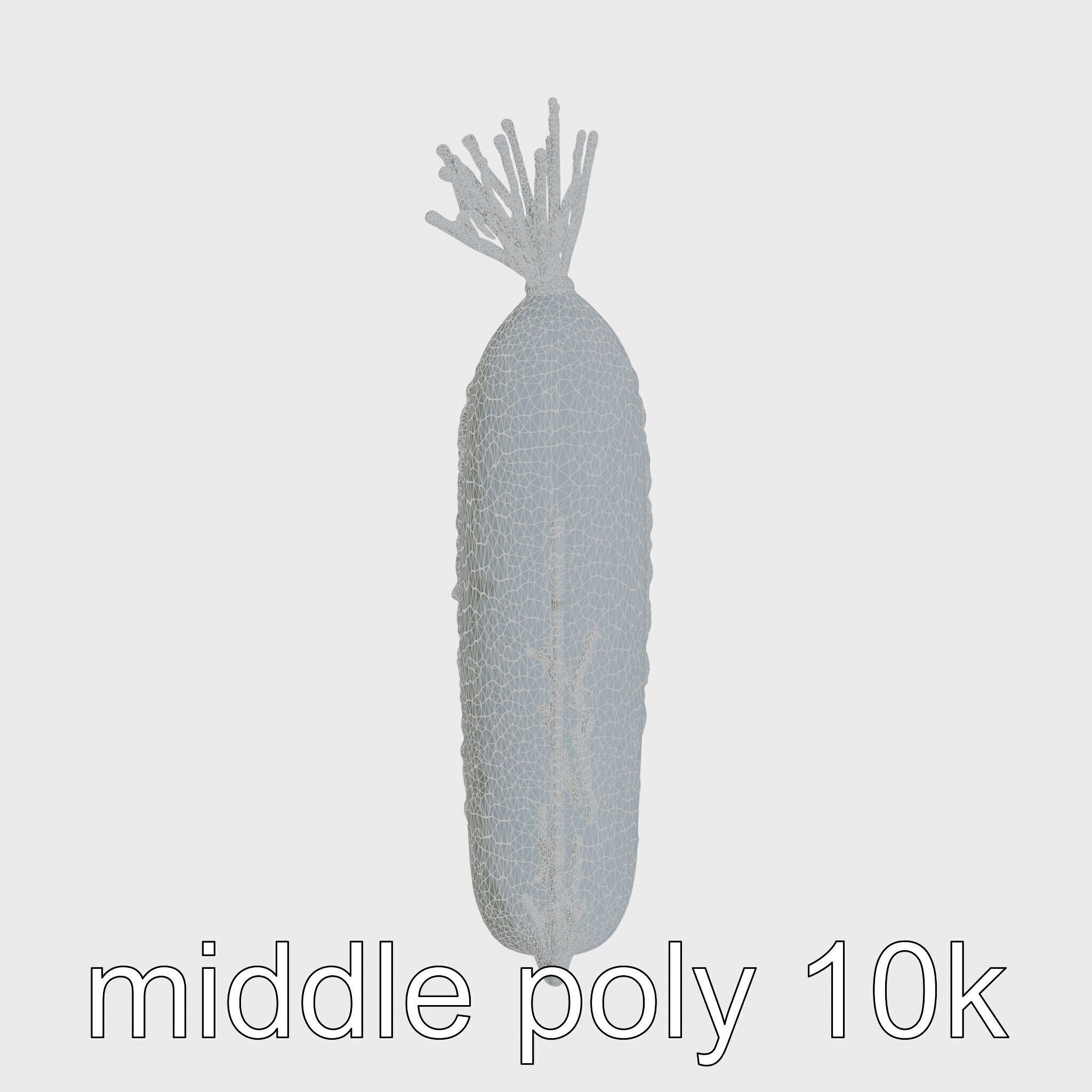 Giant Tube Worm Model with Red Plume Low-poly 3D model_20