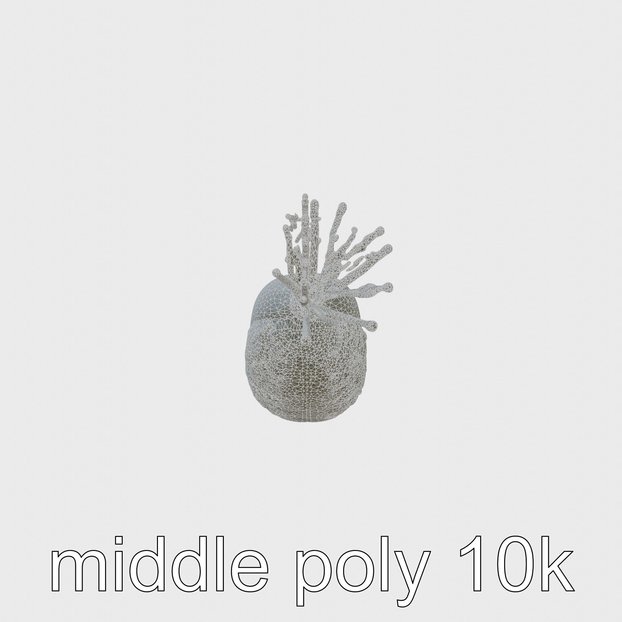 Giant Tube Worm Model with Red Plume Low-poly 3D model_19