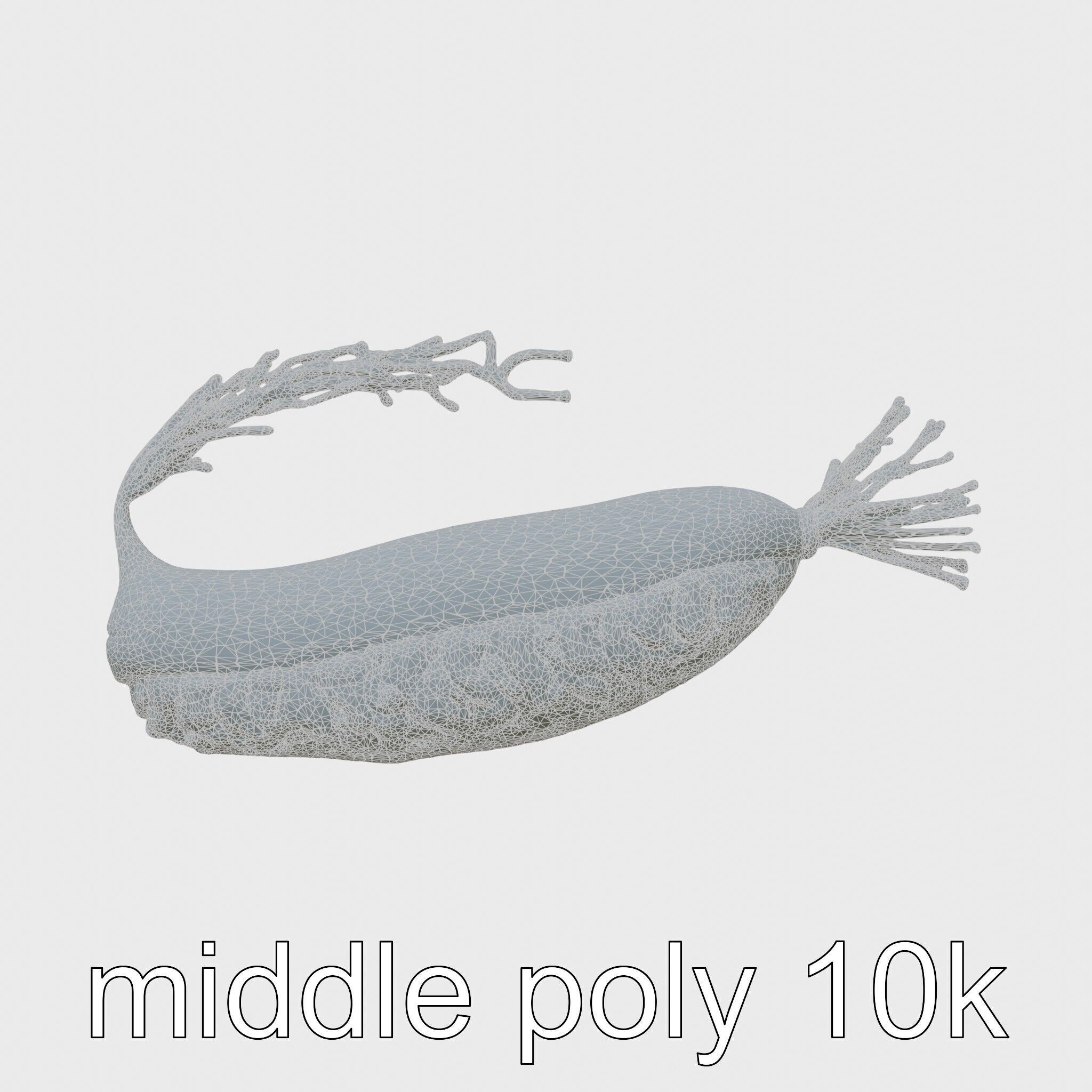 Giant Tube Worm Model with Red Plume Low-poly 3D model_5