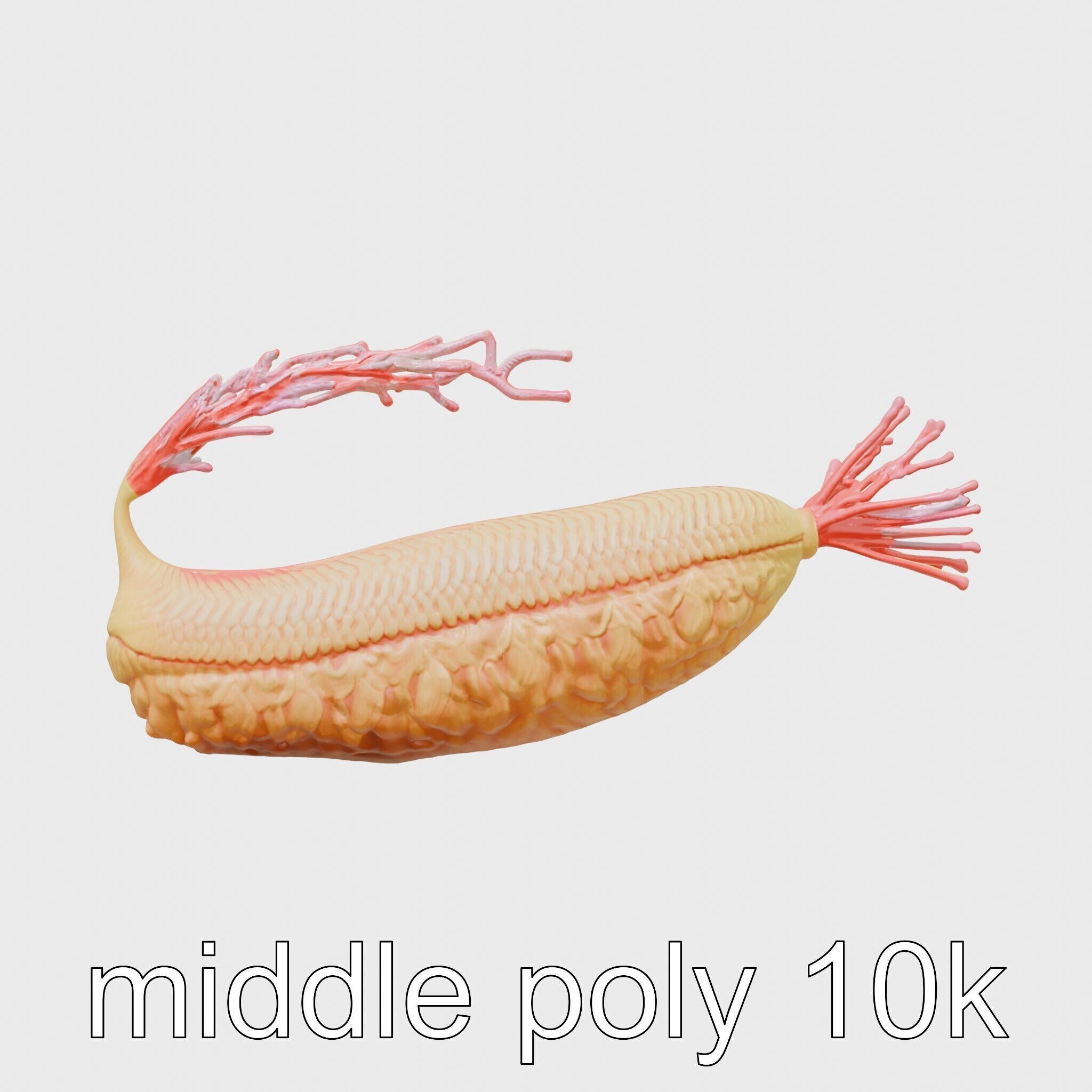 Giant Tube Worm Model with Red Plume Low-poly 3D model_2