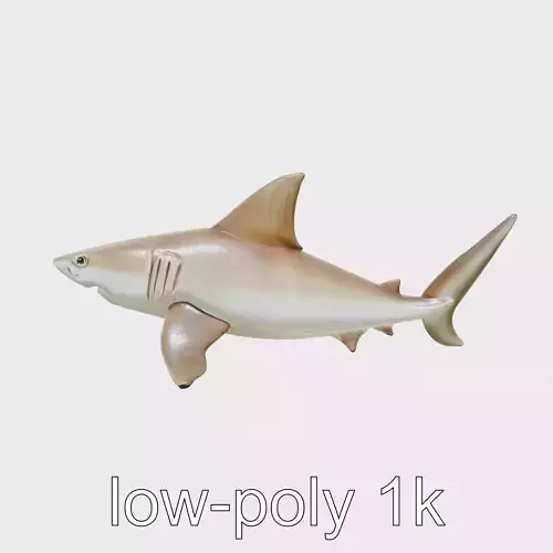 Horn Shark 3D Model with Spine-Covered Back Low-poly 3D model