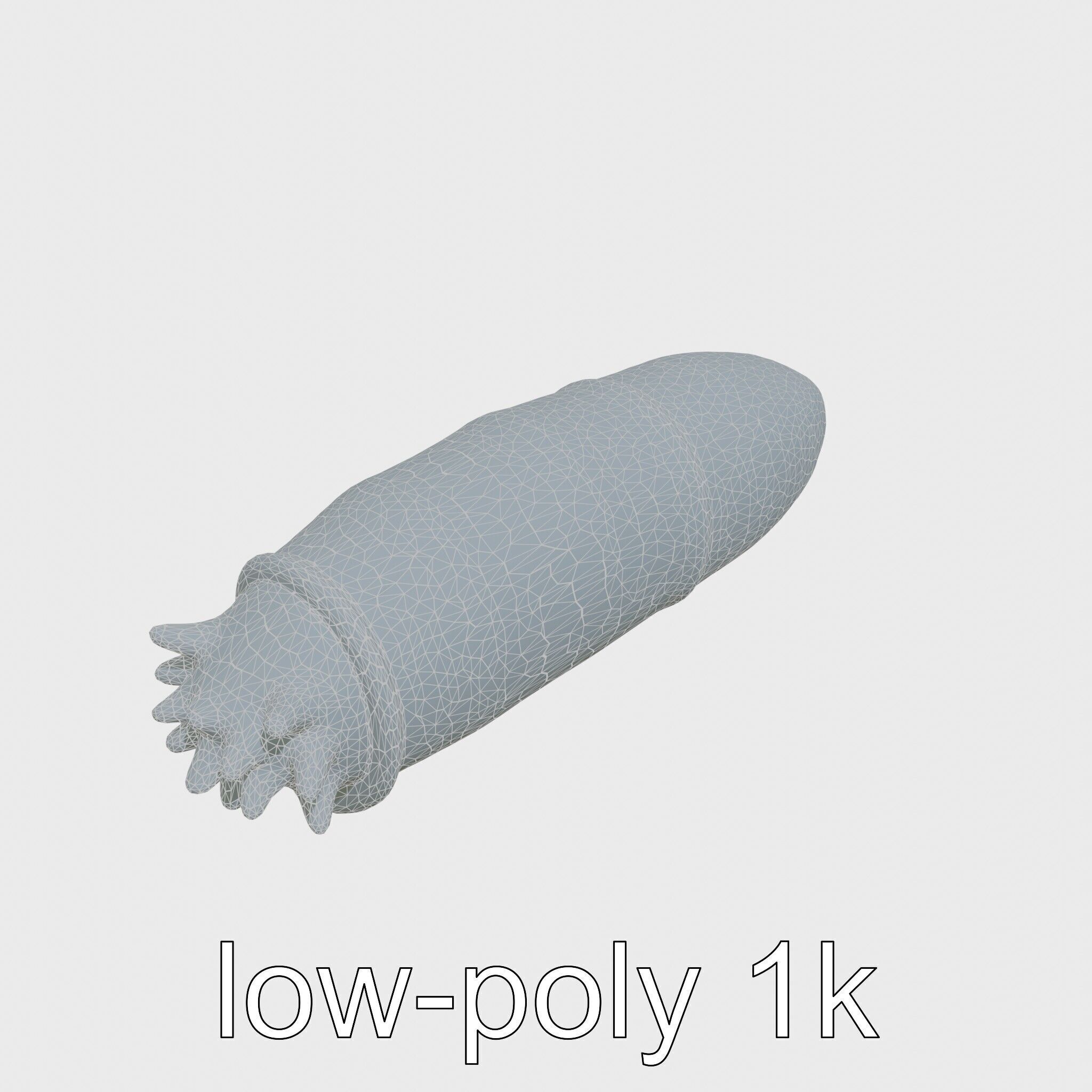 Sea Cucumber 3D Model with Tubular Body and Tube Feet Low-poly 3D model_28