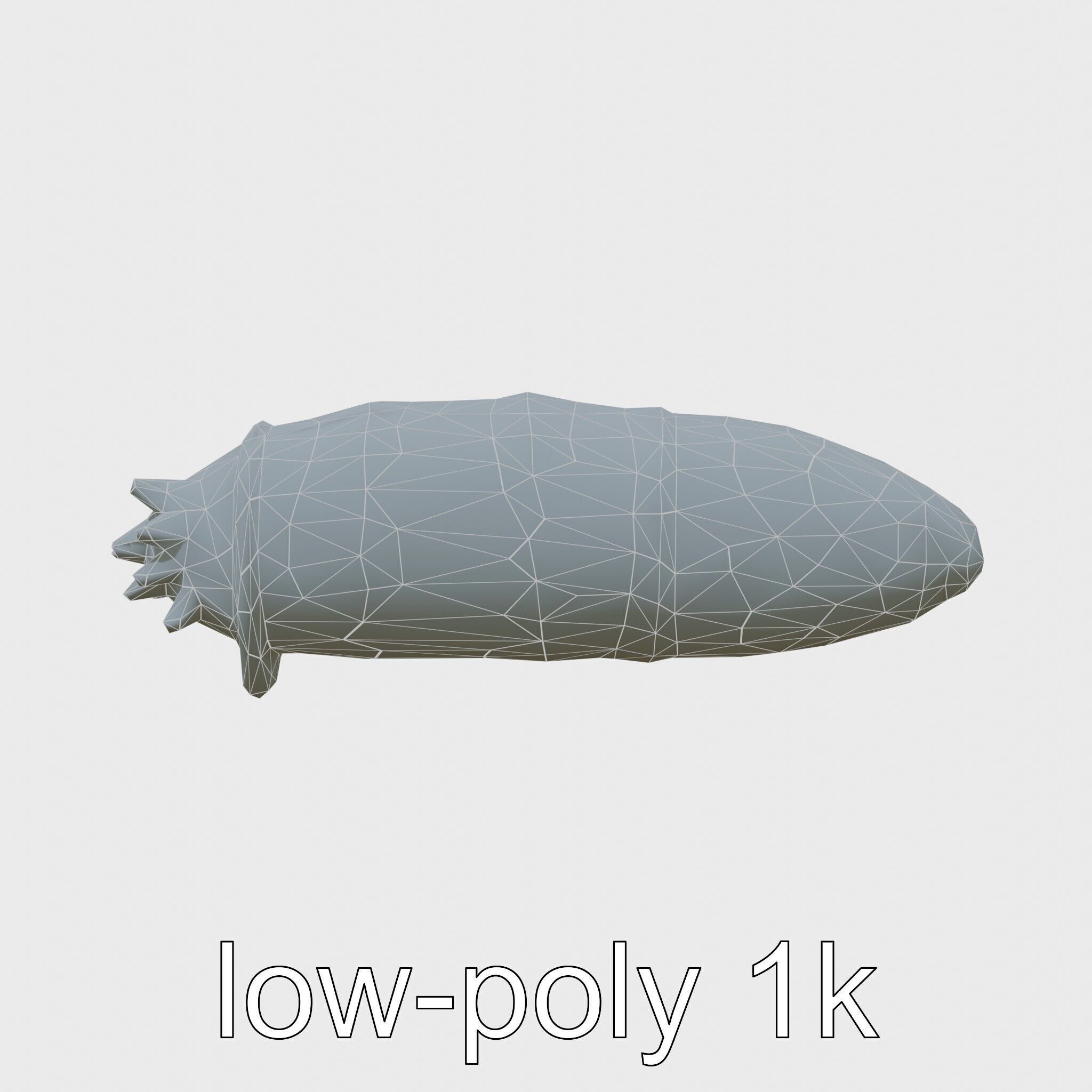 Sea Cucumber 3D Model with Tubular Body and Tube Feet Low-poly 3D model_7