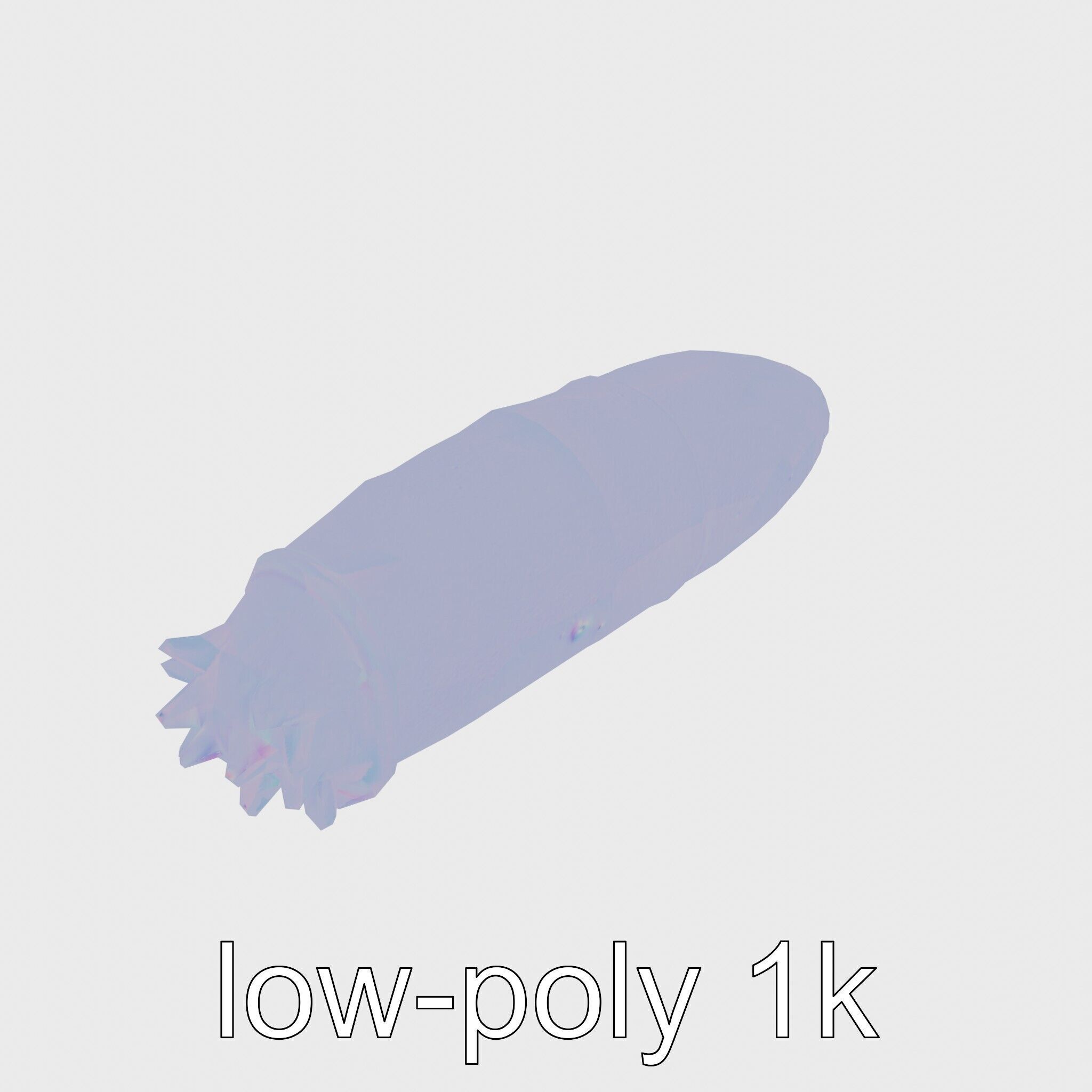 Sea Cucumber 3D Model with Tubular Body and Tube Feet Low-poly 3D model_21