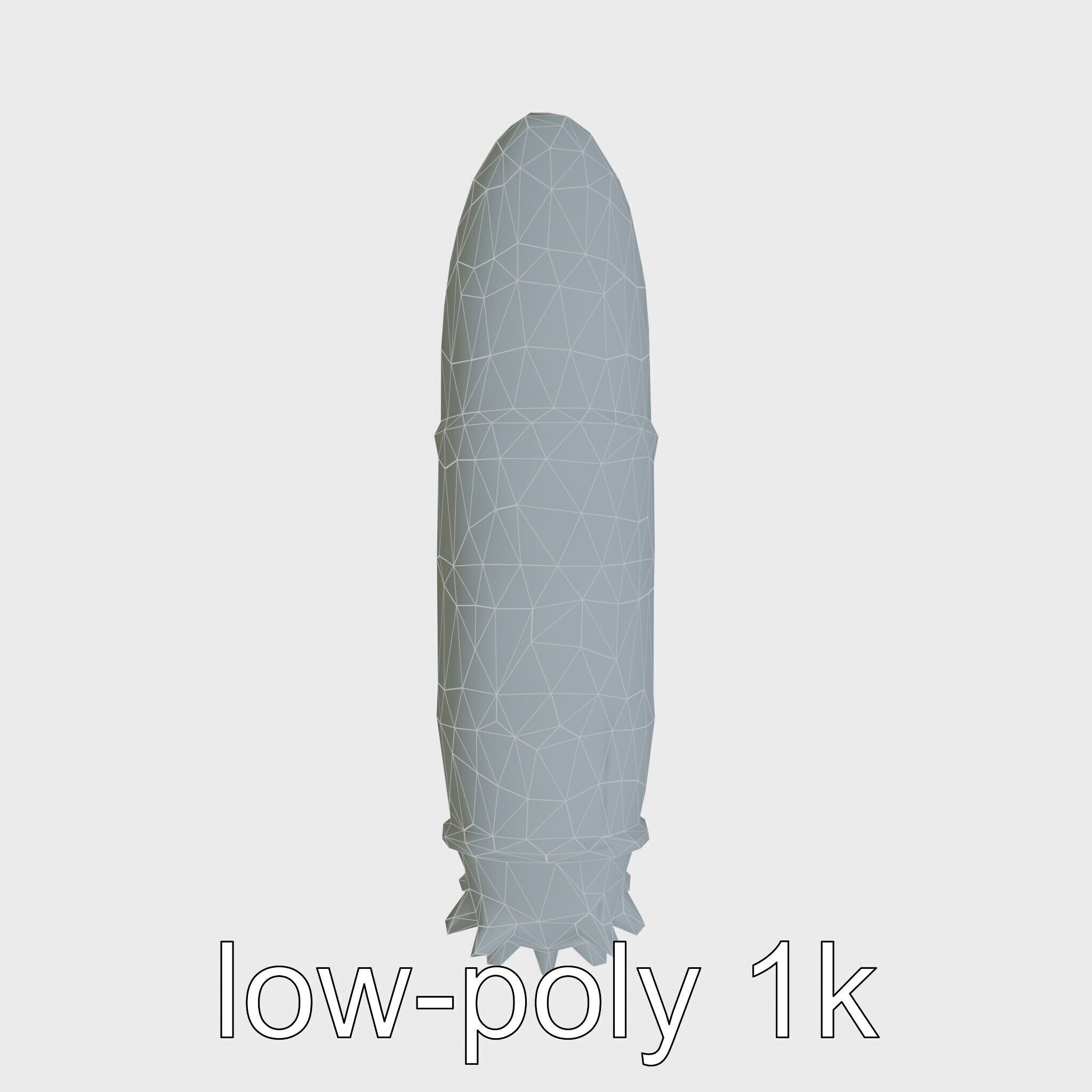 Sea Cucumber 3D Model with Tubular Body and Tube Feet Low-poly 3D model_19