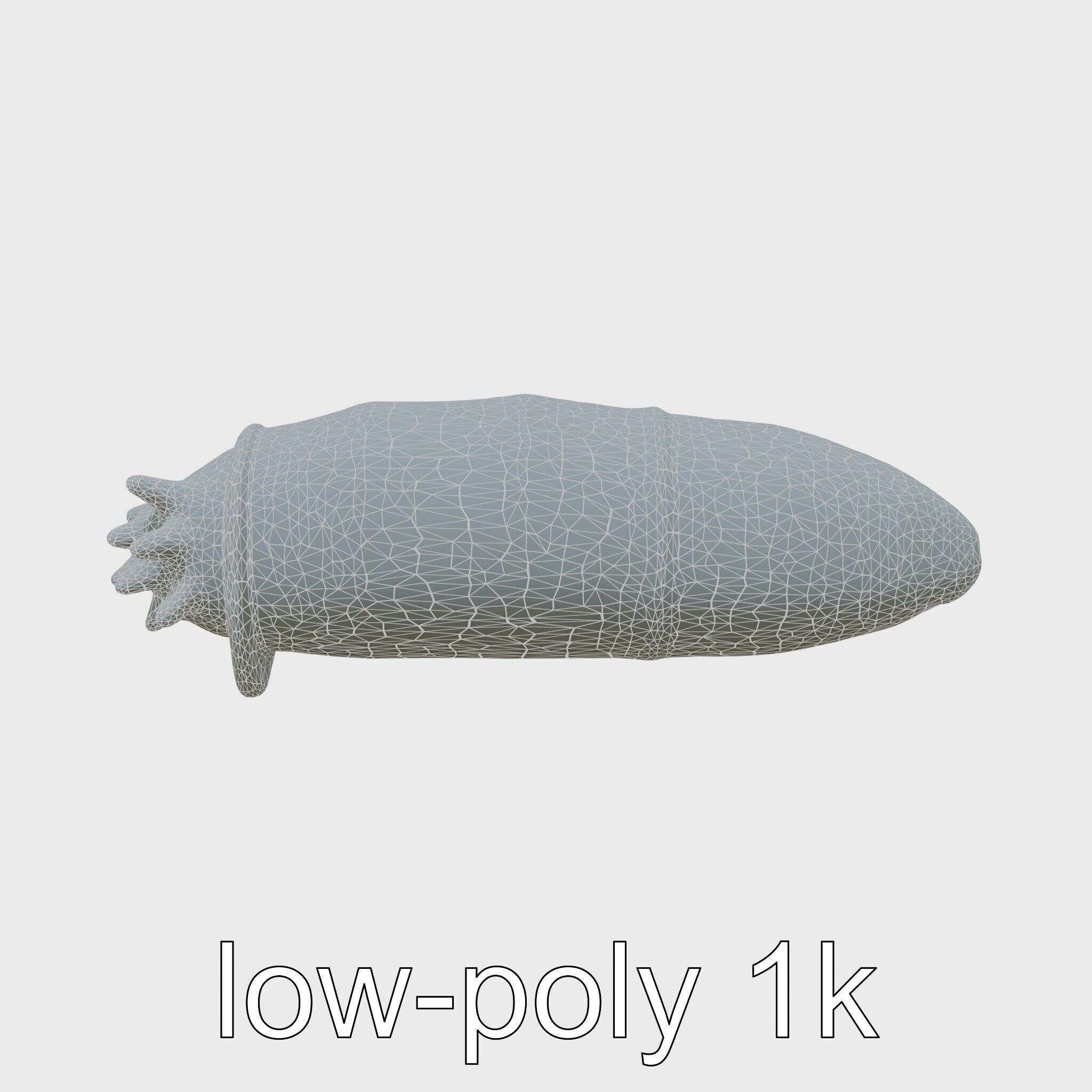 Sea Cucumber 3D Model with Tubular Body and Tube Feet Low-poly 3D model_6