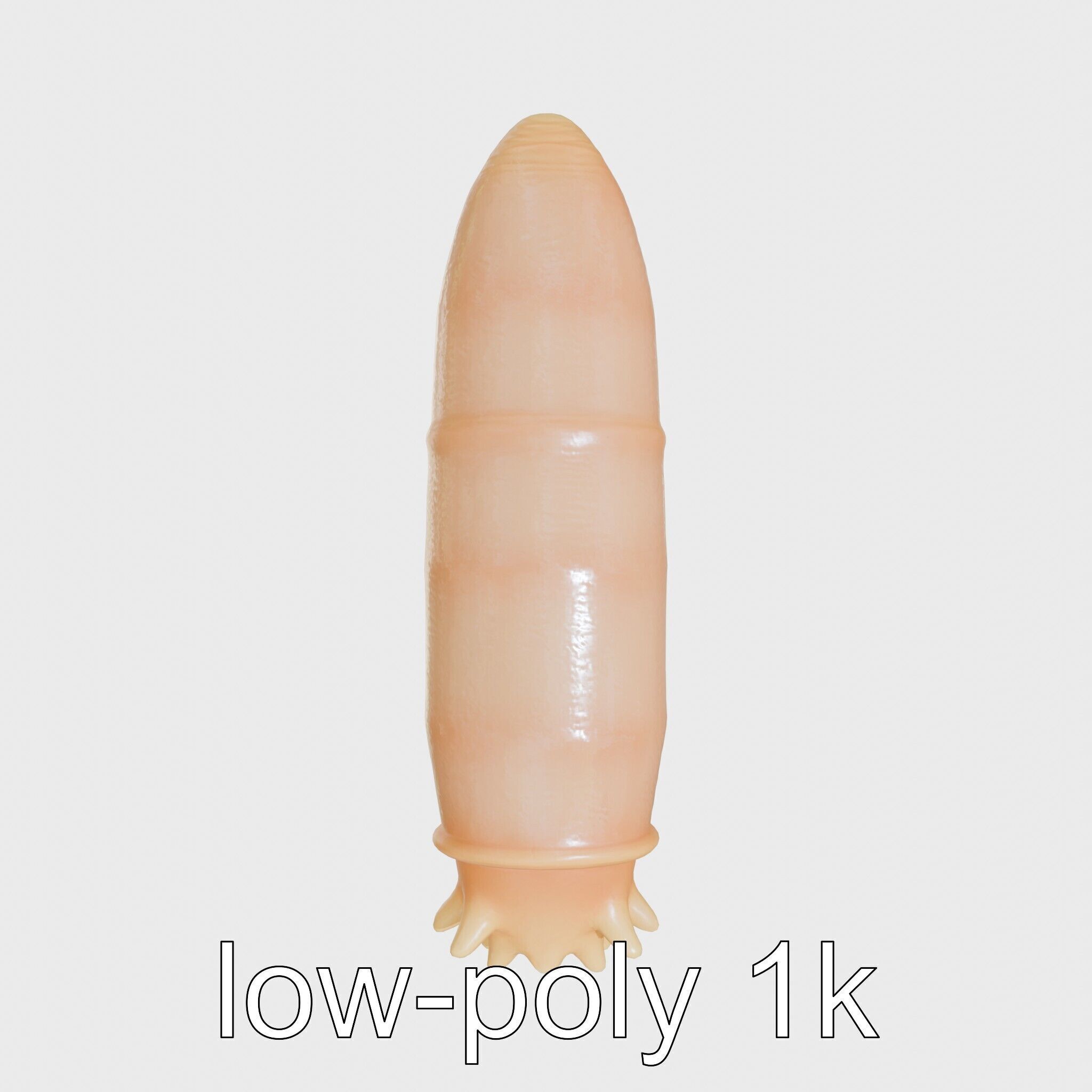 Sea Cucumber 3D Model with Tubular Body and Tube Feet Low-poly 3D model_9