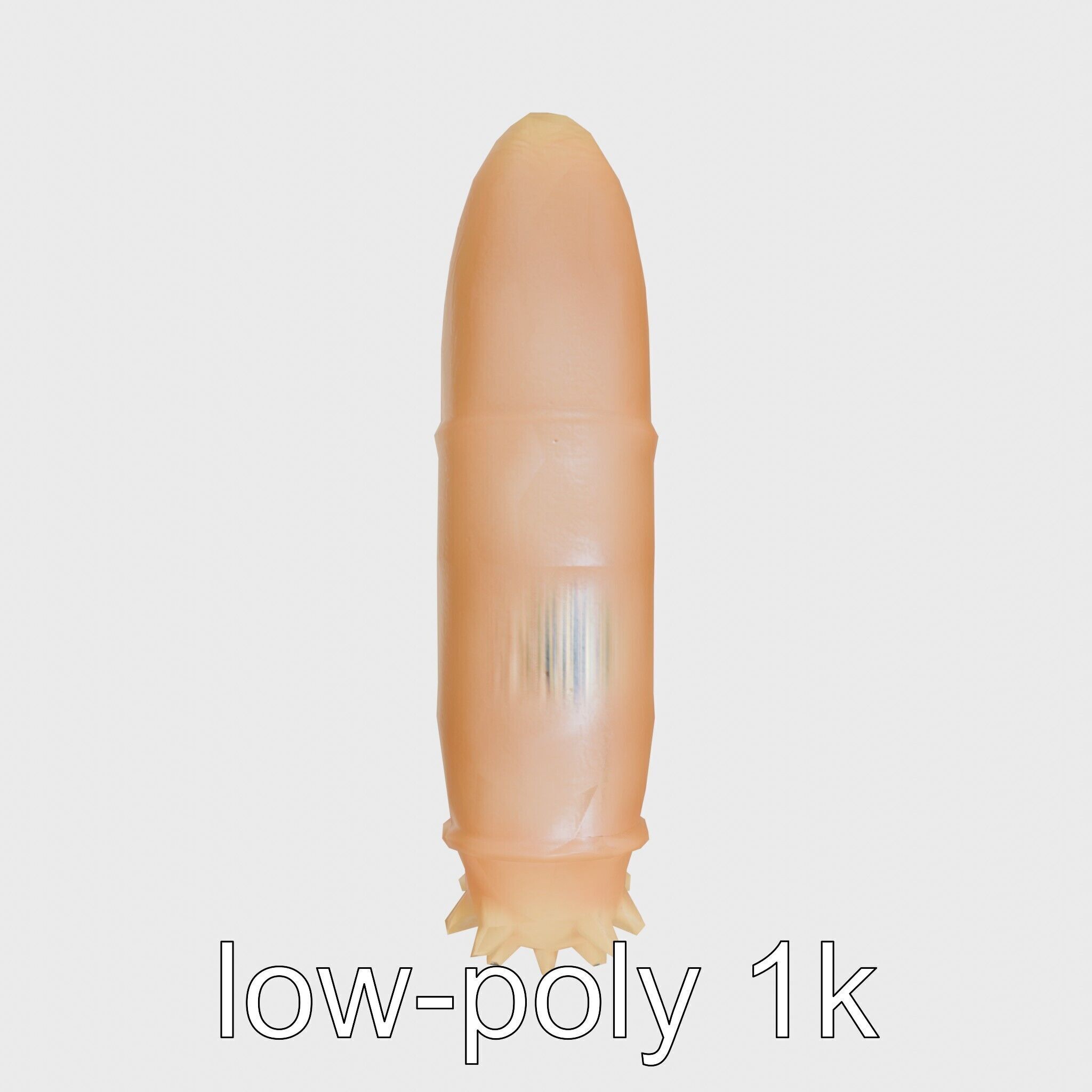 Sea Cucumber 3D Model with Tubular Body and Tube Feet Low-poly 3D model_10