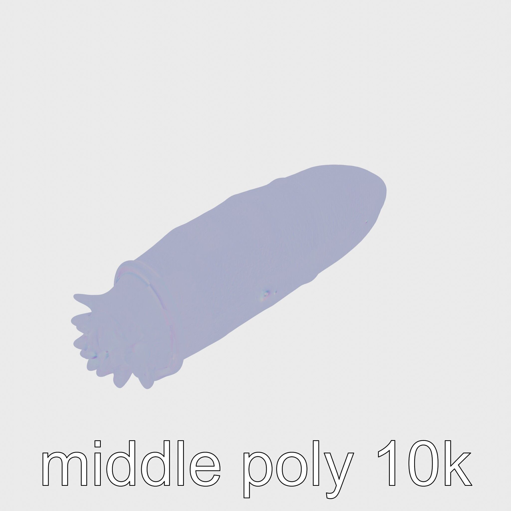 Sea Cucumber 3D Model with Tubular Body and Tube Feet Low-poly 3D model_16