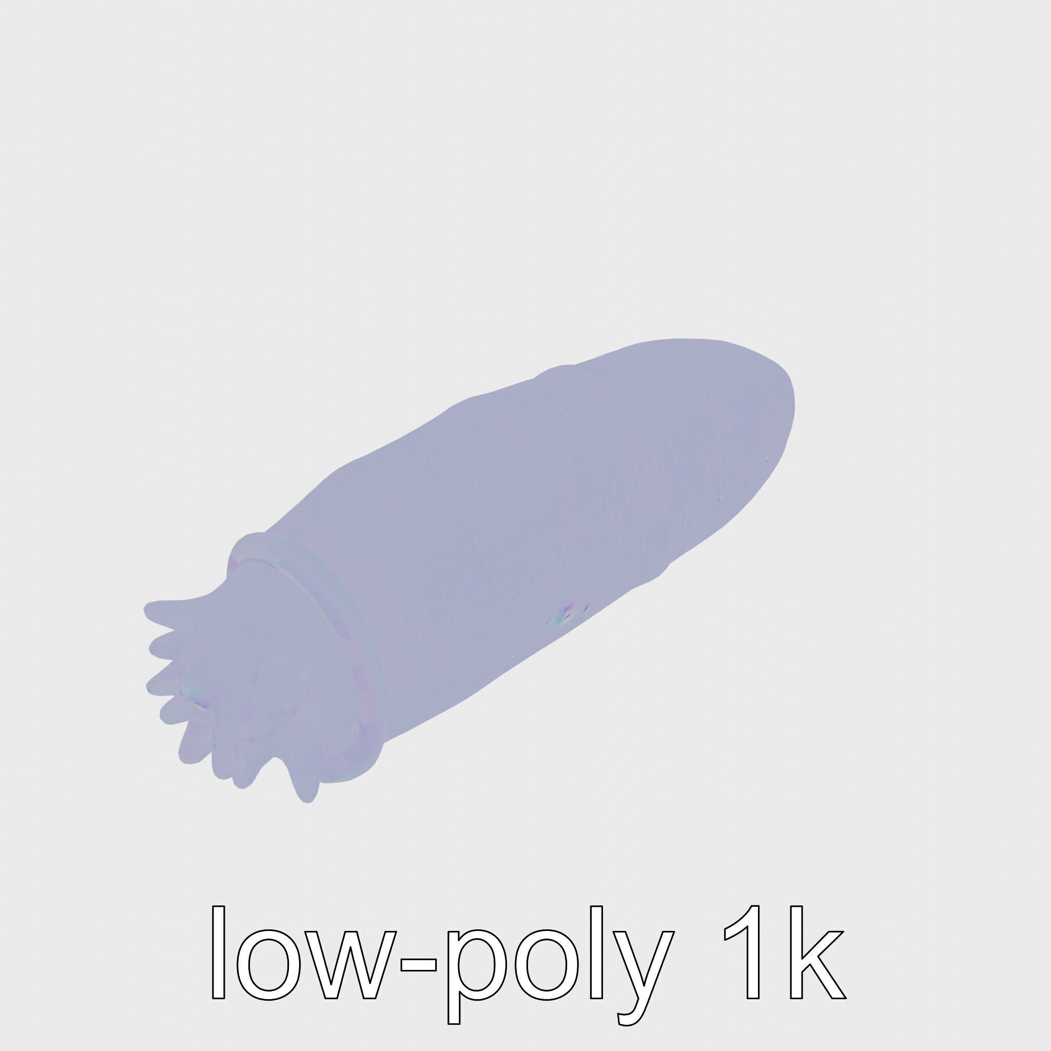 Sea Cucumber 3D Model with Tubular Body and Tube Feet Low-poly 3D model_12