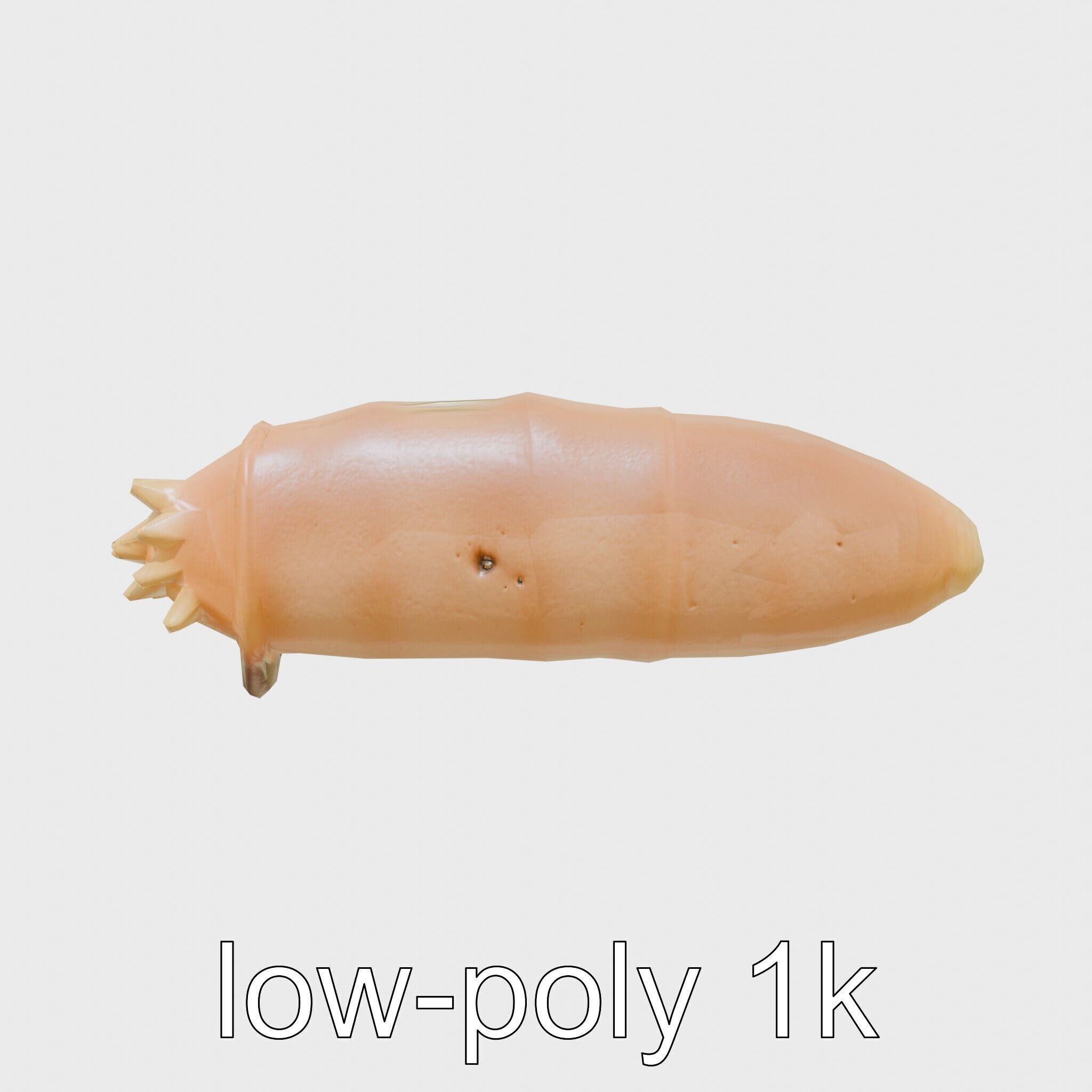 Sea Cucumber 3D Model with Tubular Body and Tube Feet Low-poly 3D model_4