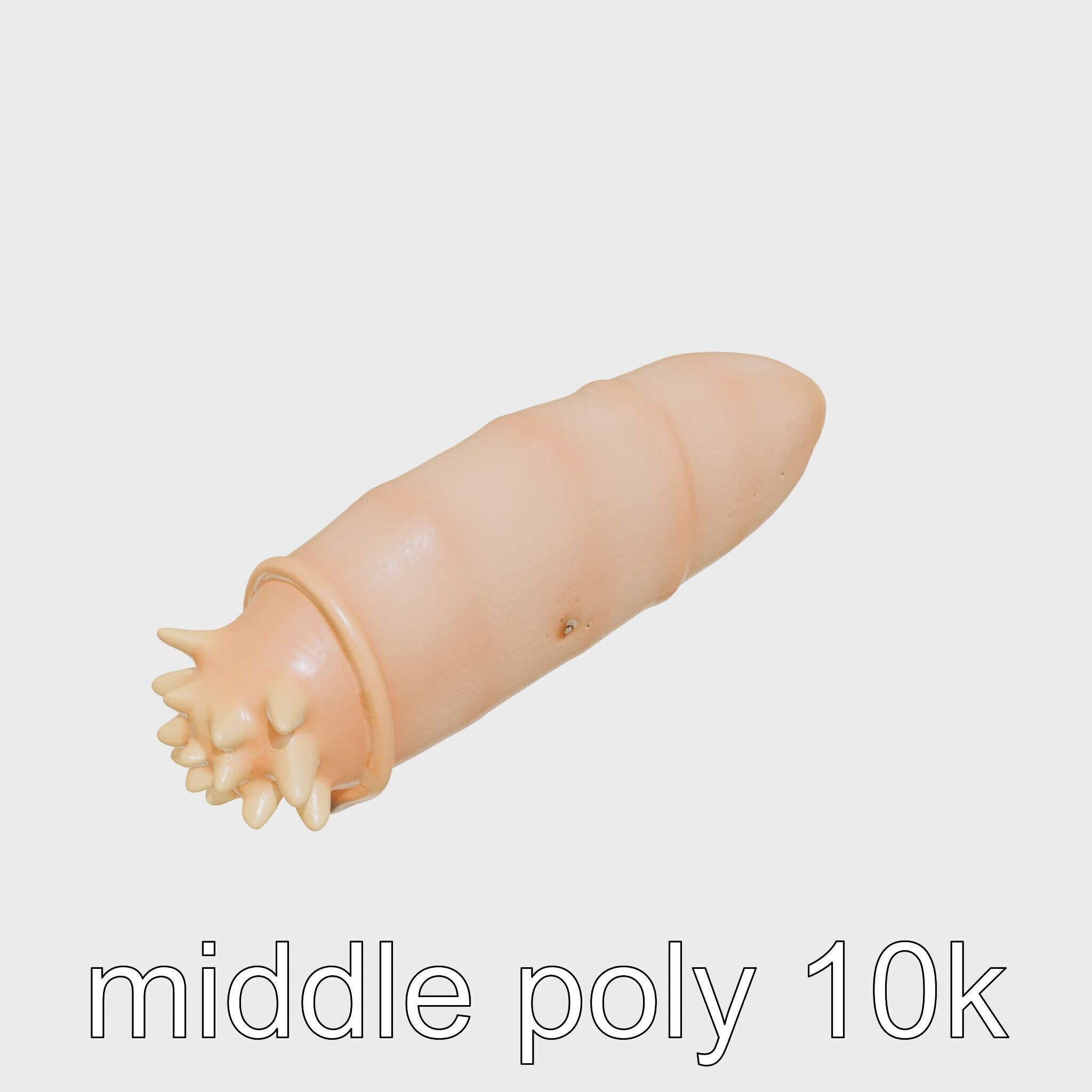 Sea Cucumber 3D Model with Tubular Body and Tube Feet Low-poly 3D model_11