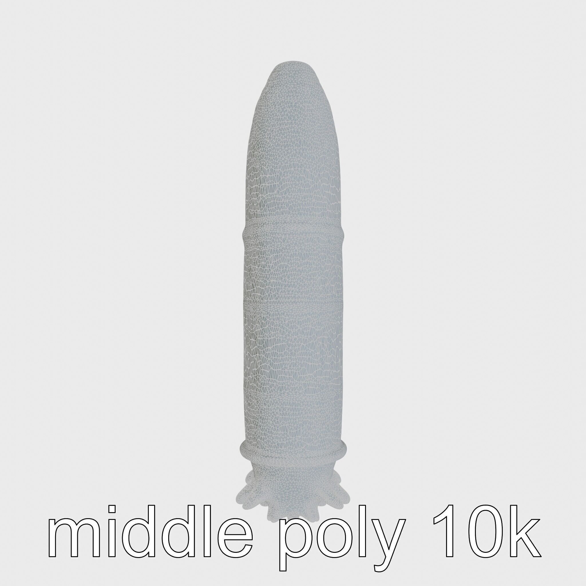 Sea Cucumber 3D Model with Tubular Body and Tube Feet Low-poly 3D model_27