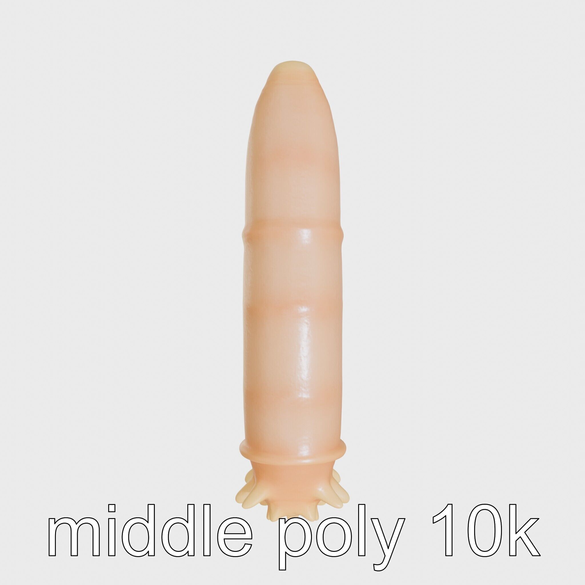 Sea Cucumber 3D Model with Tubular Body and Tube Feet Low-poly 3D model_17