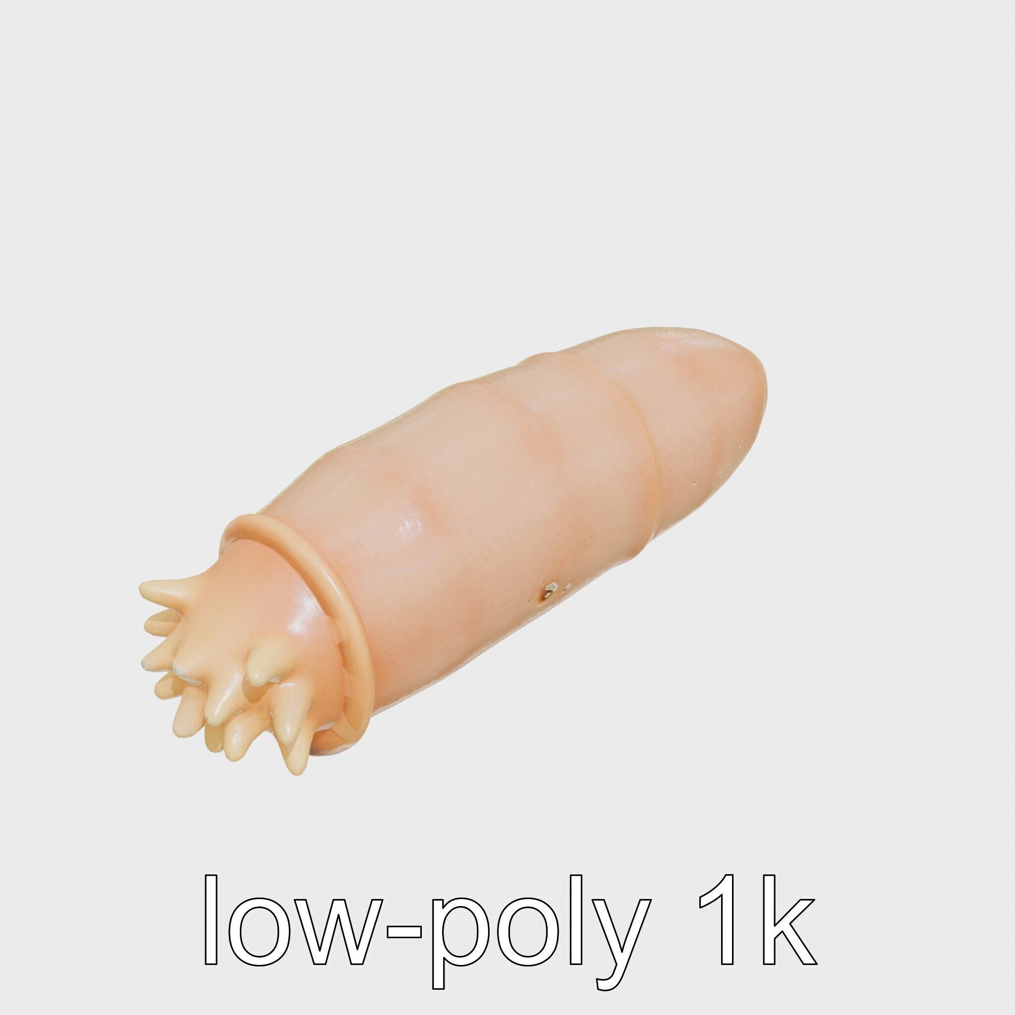 Sea Cucumber 3D Model with Tubular Body and Tube Feet Low-poly 3D model_18