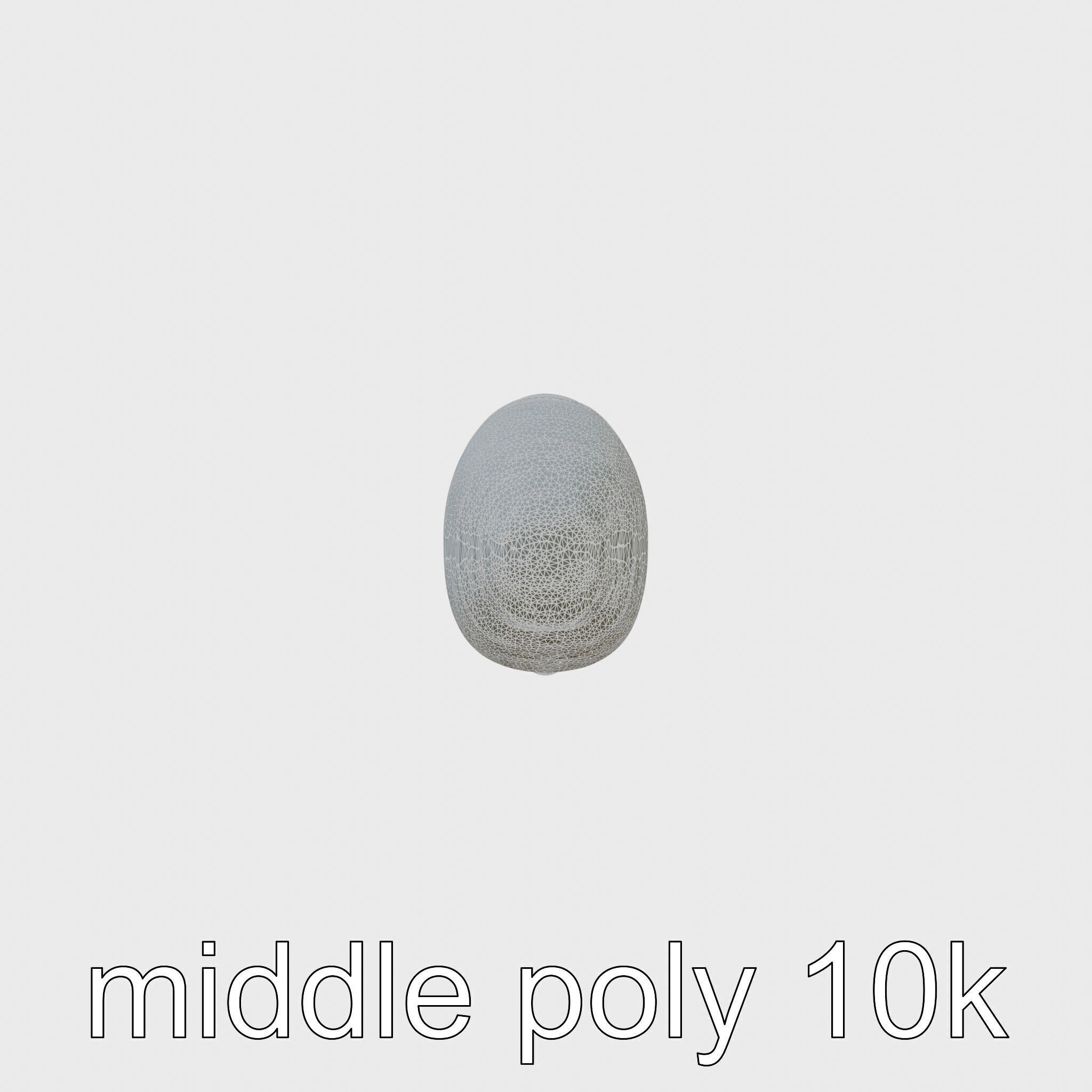 Sea Cucumber 3D Model with Tubular Body and Tube Feet Low-poly 3D model_23