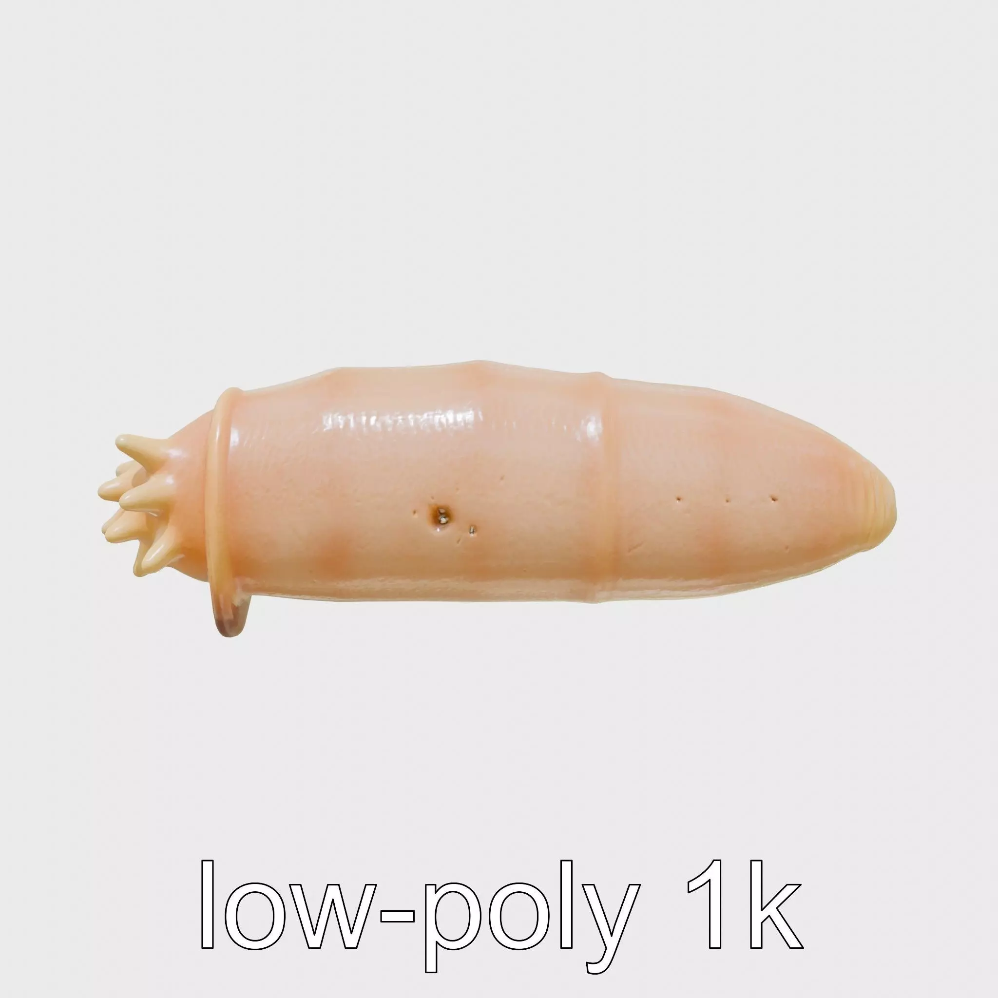 Sea Cucumber 3D Model with Tubular Body and Tube Feet Low-poly 3D model_0