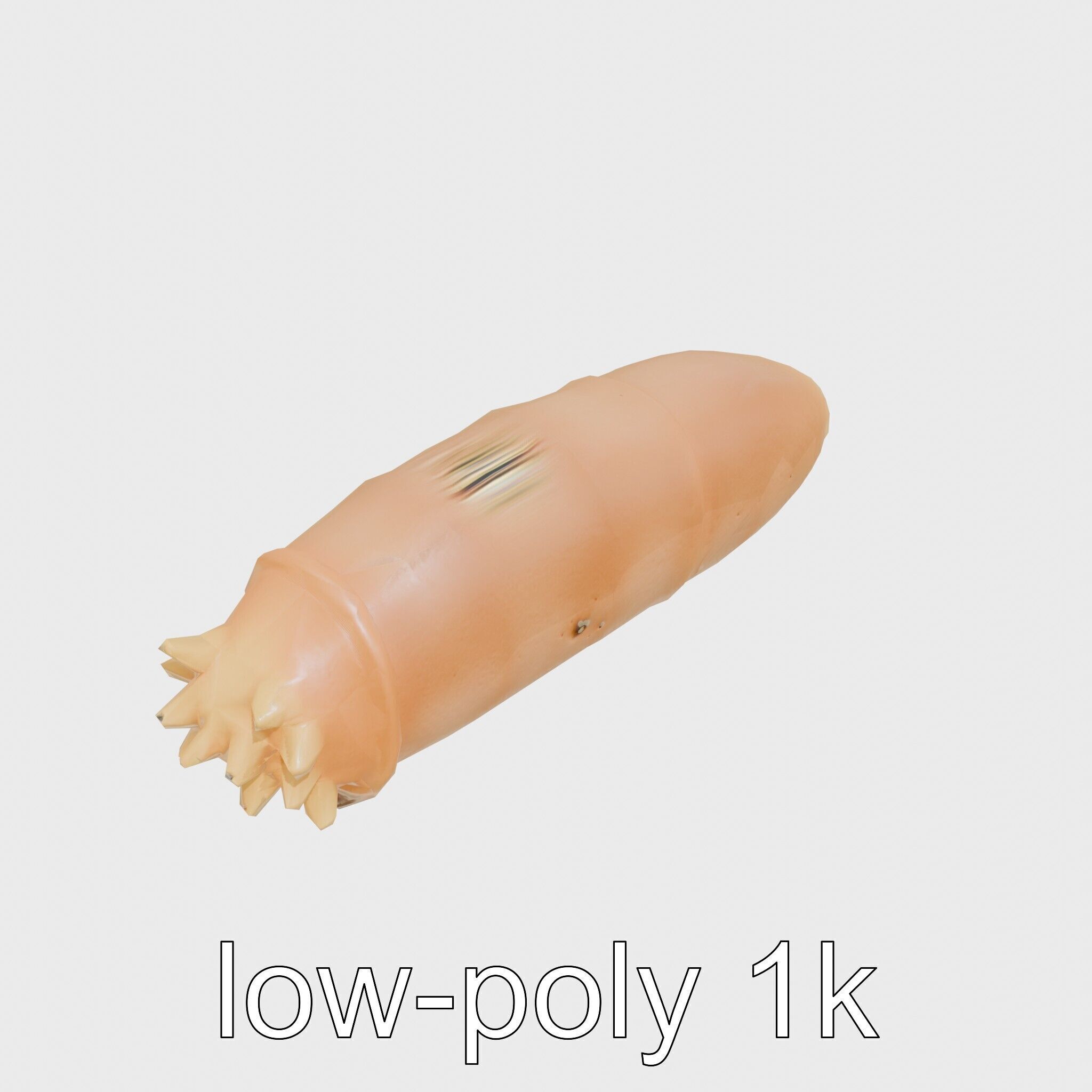 Sea Cucumber 3D Model with Tubular Body and Tube Feet Low-poly 3D model_26