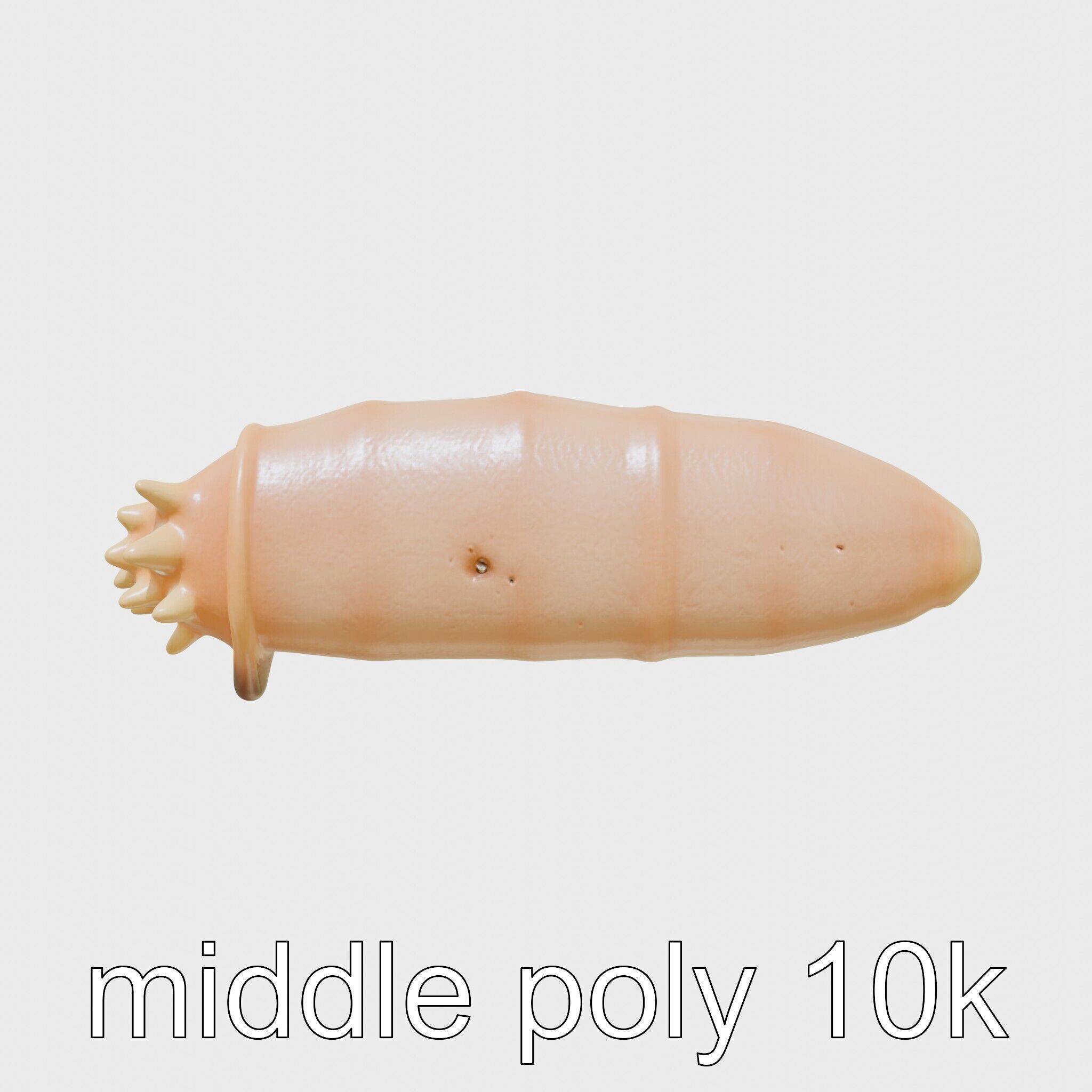 Sea Cucumber 3D Model with Tubular Body and Tube Feet Low-poly 3D model_5