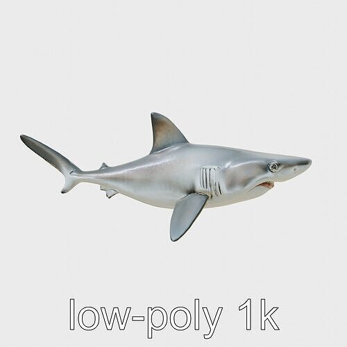 Hammerhead Shark 3D Model with Wide-Set Eyes Low-poly 3D model