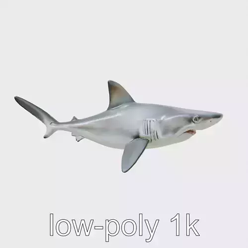 Hammerhead Shark 3D Model with Wide-Set Eyes Low-poly 3D model