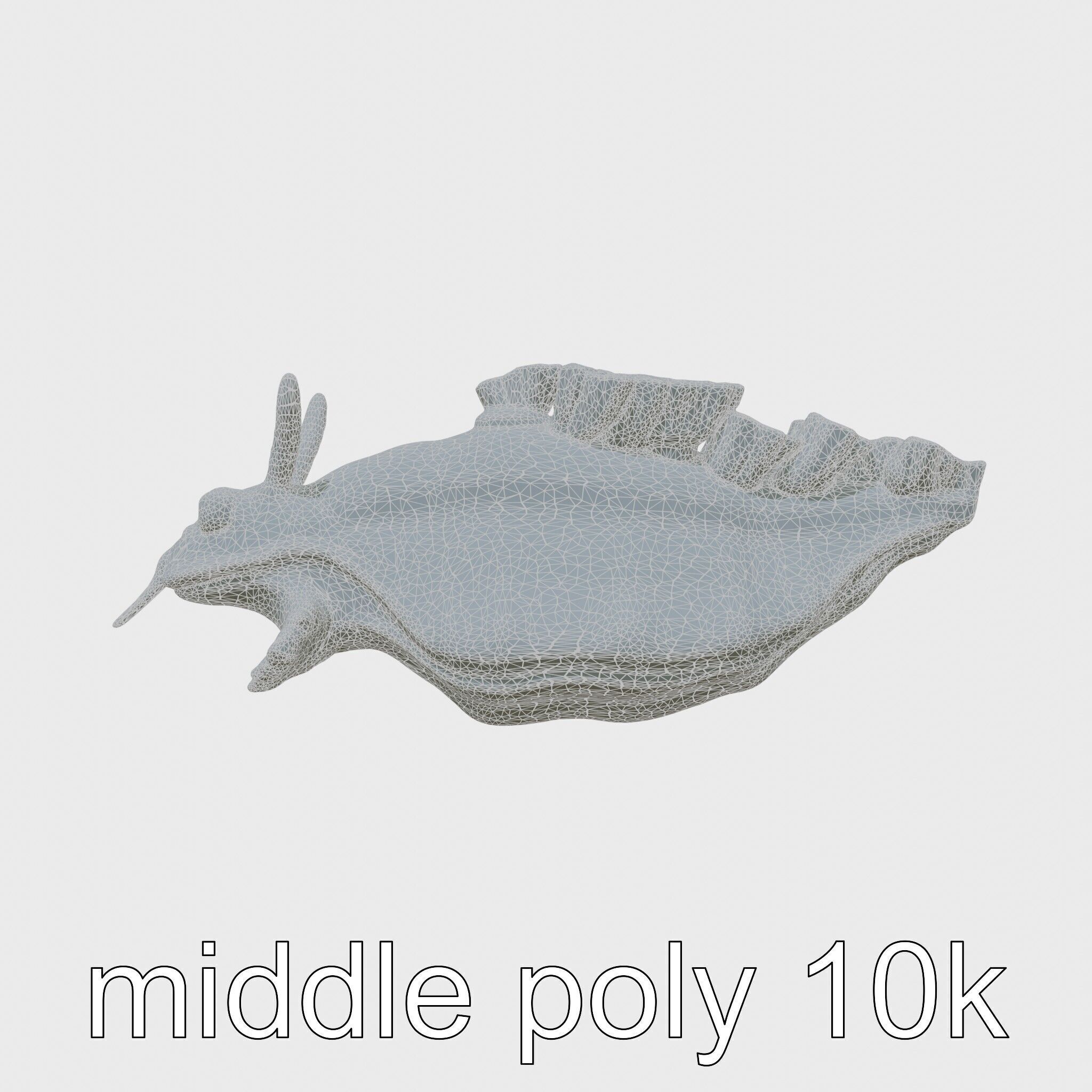 Electric Blue Nudibranch Sea Creature Model Low-poly 3D model_5
