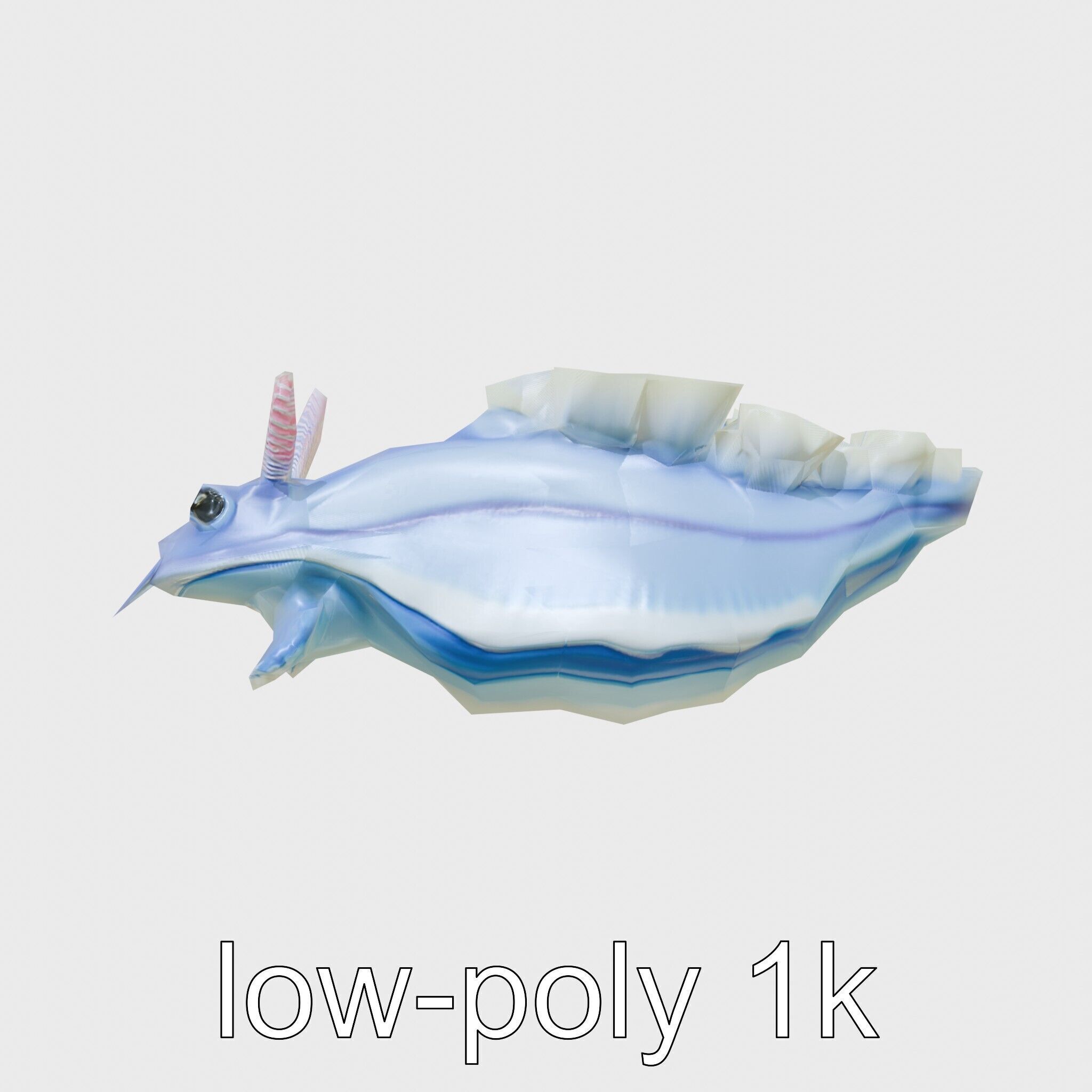 Electric Blue Nudibranch Sea Creature Model Low-poly 3D model_10