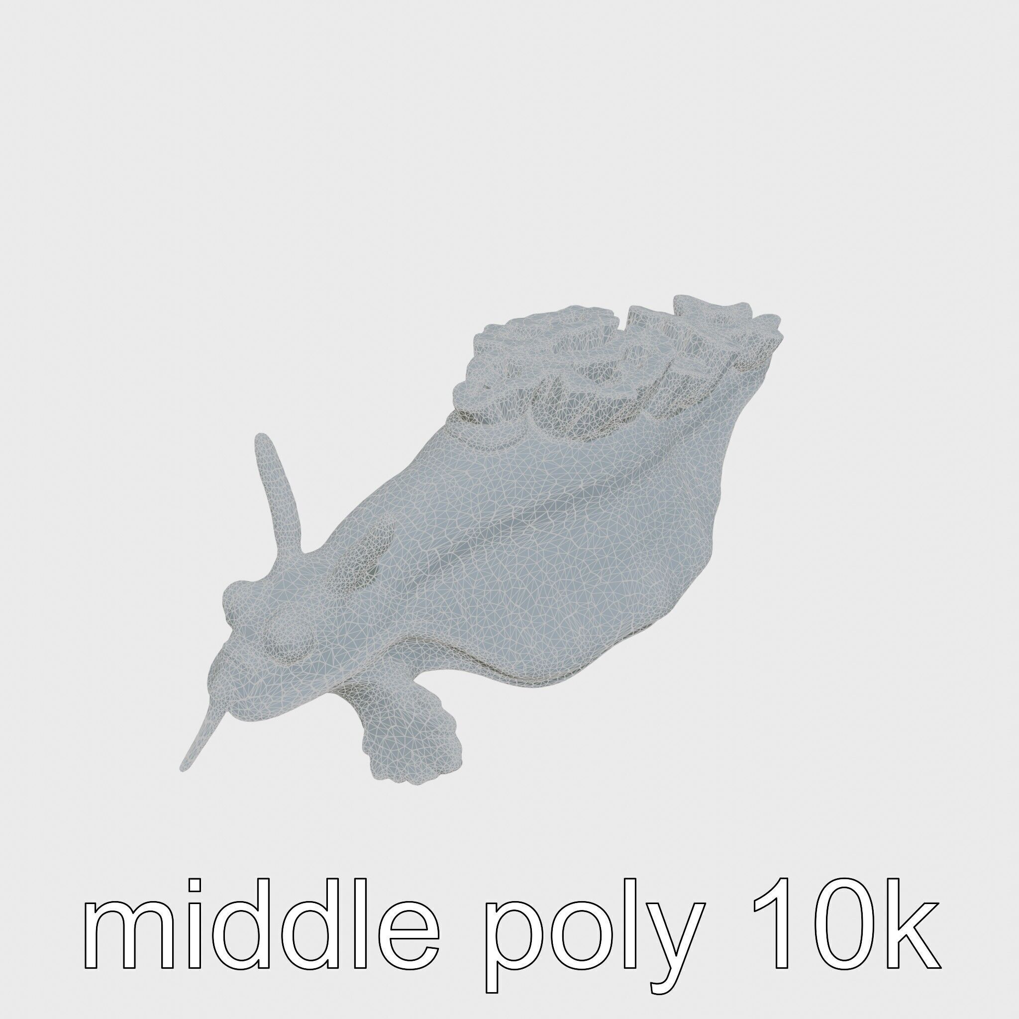 Electric Blue Nudibranch Sea Creature Model Low-poly 3D model_12