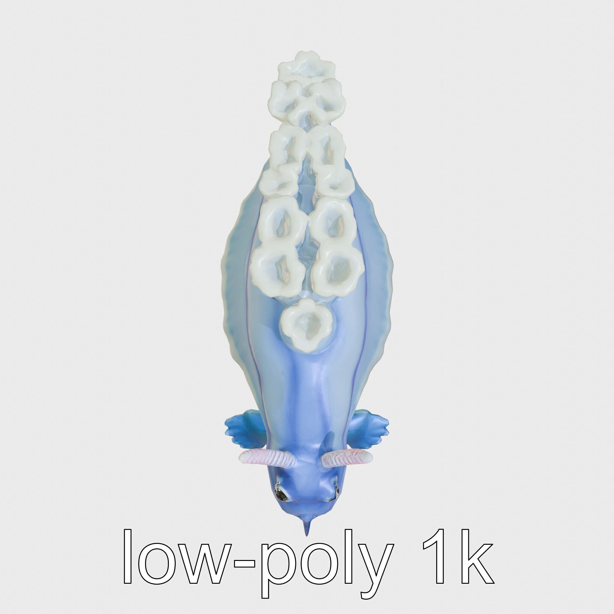 Electric Blue Nudibranch Sea Creature Model Low-poly 3D model_9
