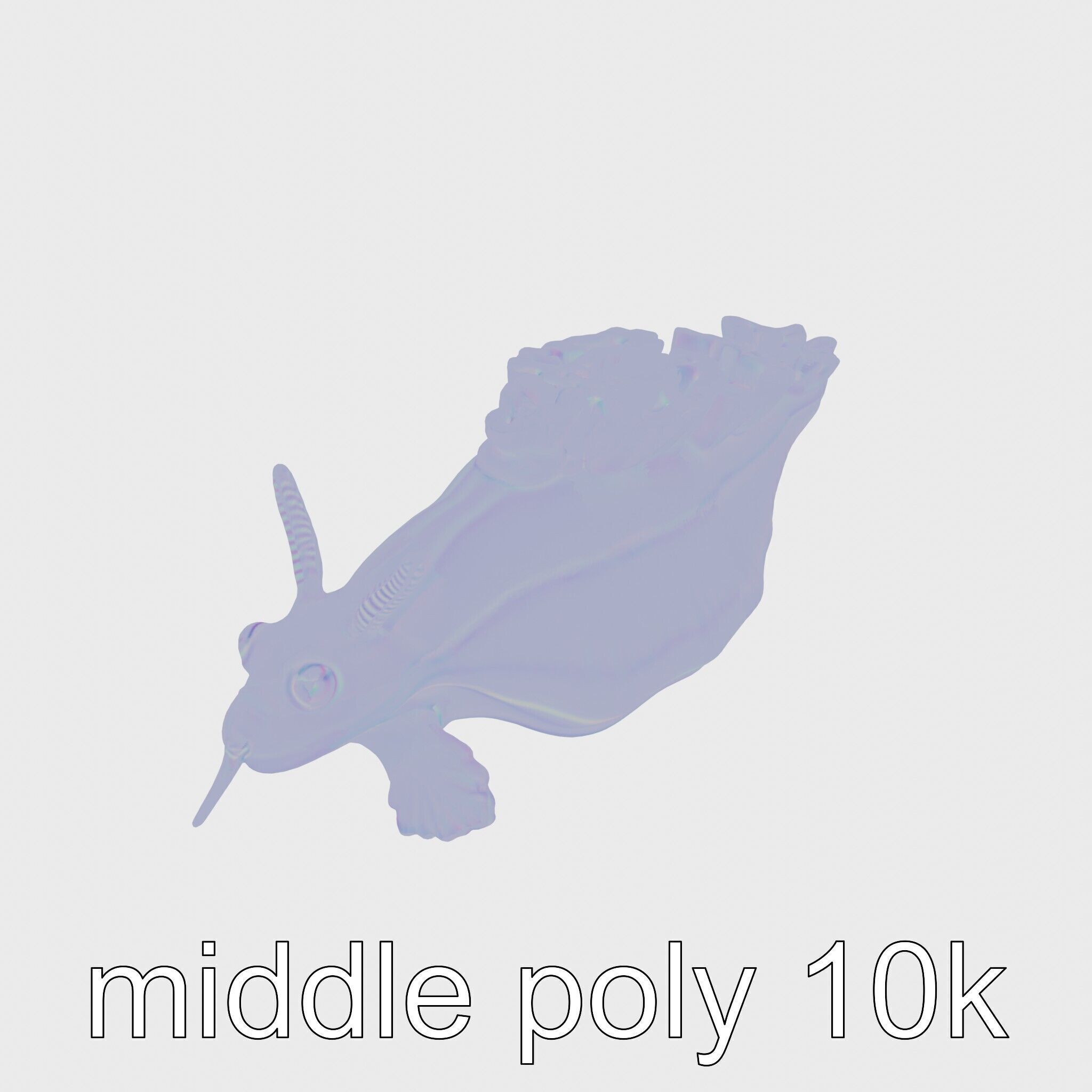 Electric Blue Nudibranch Sea Creature Model Low-poly 3D model_21