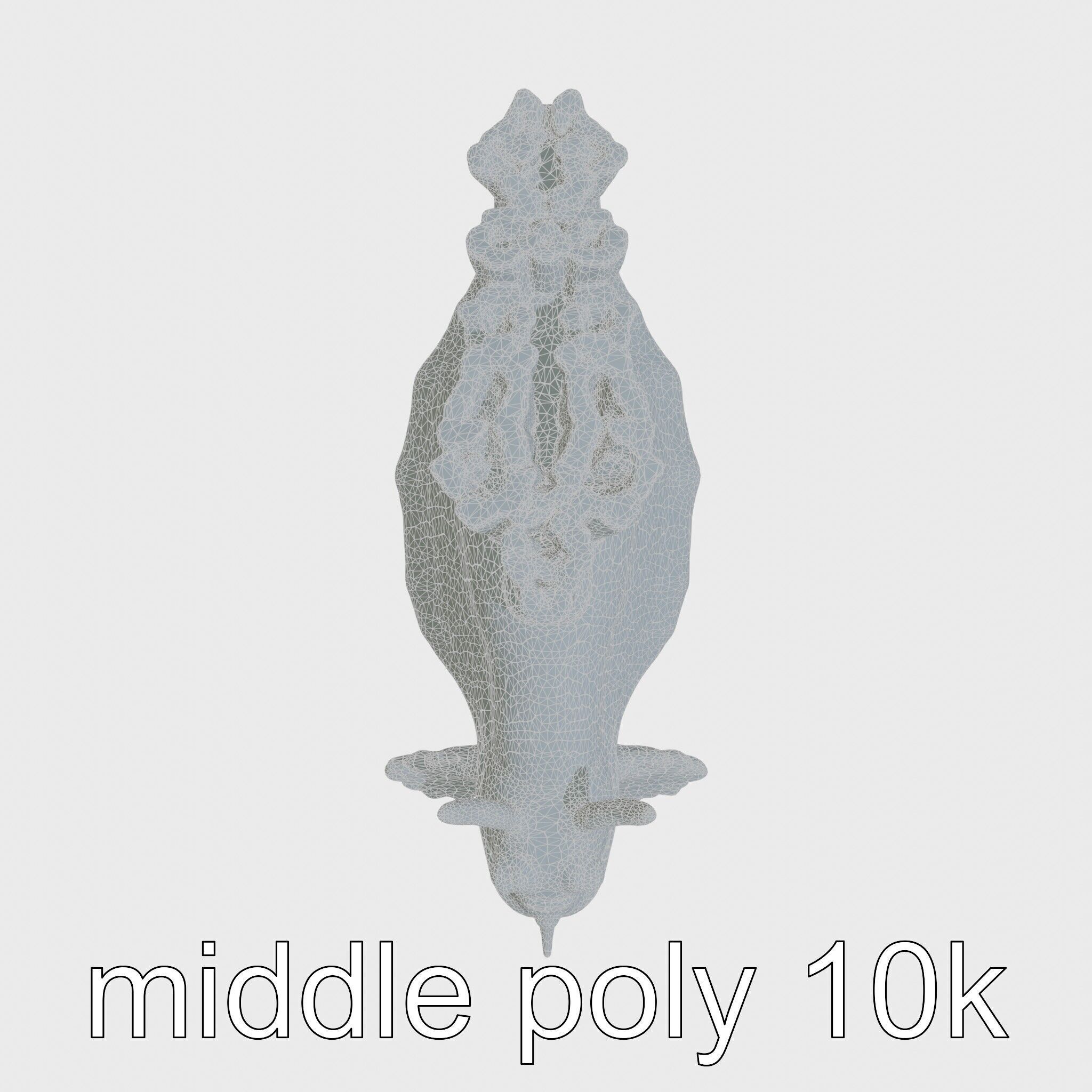 Electric Blue Nudibranch Sea Creature Model Low-poly 3D model_29