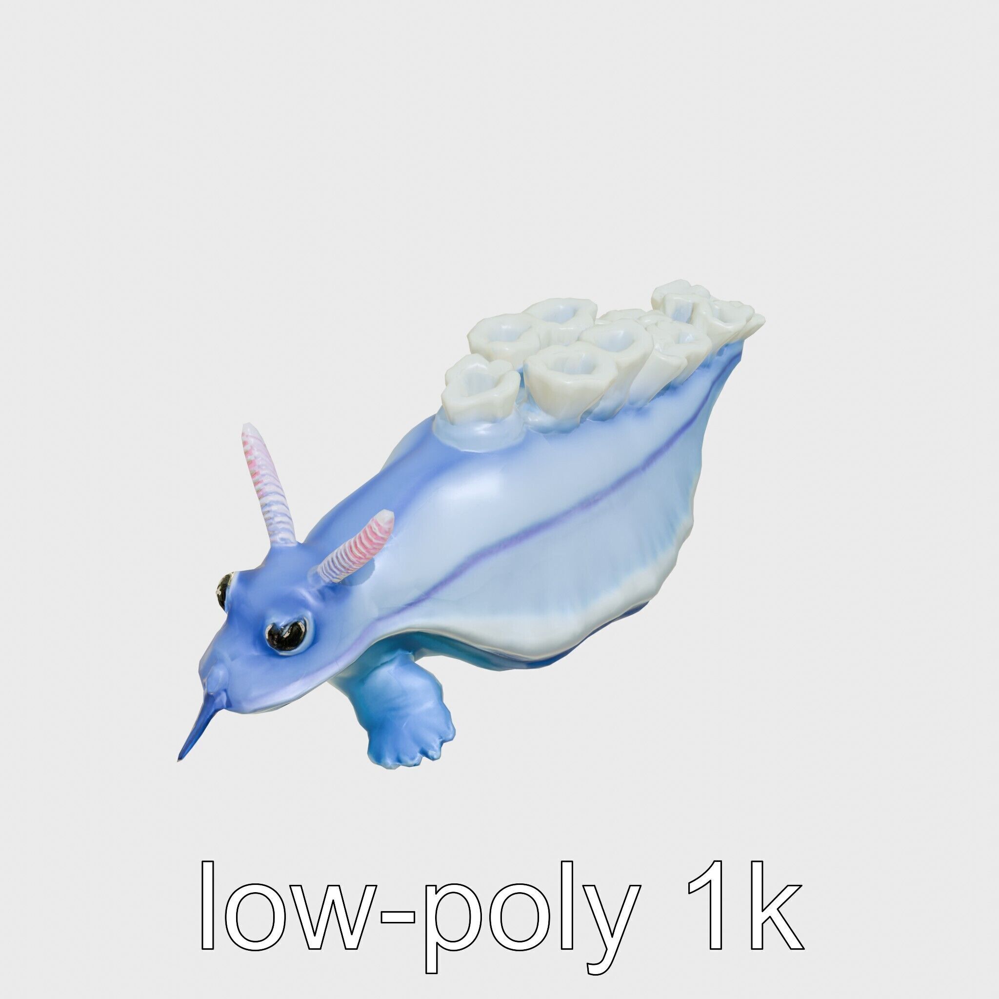 Electric Blue Nudibranch Sea Creature Model Low-poly 3D model_19