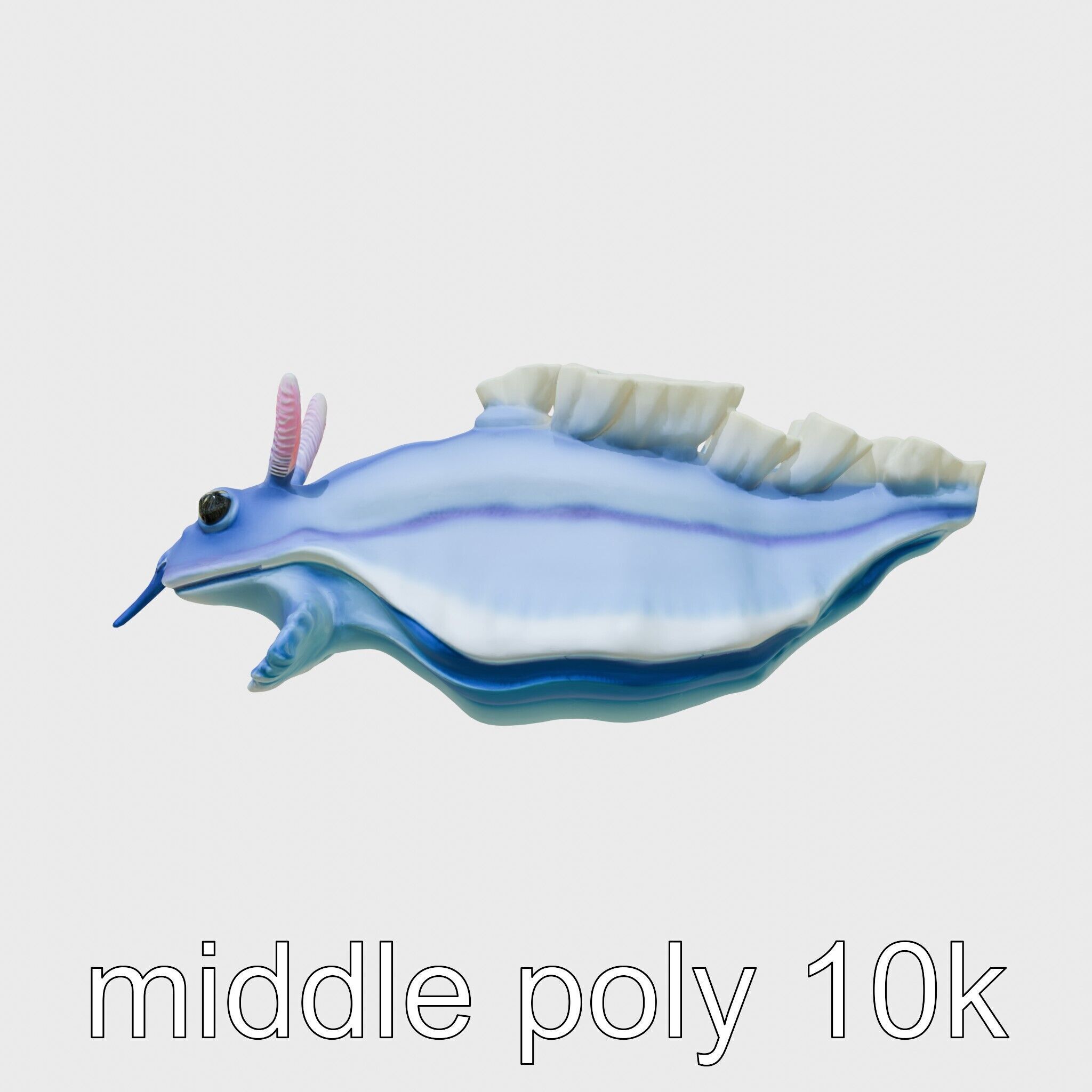Electric Blue Nudibranch Sea Creature Model Low-poly 3D model_2