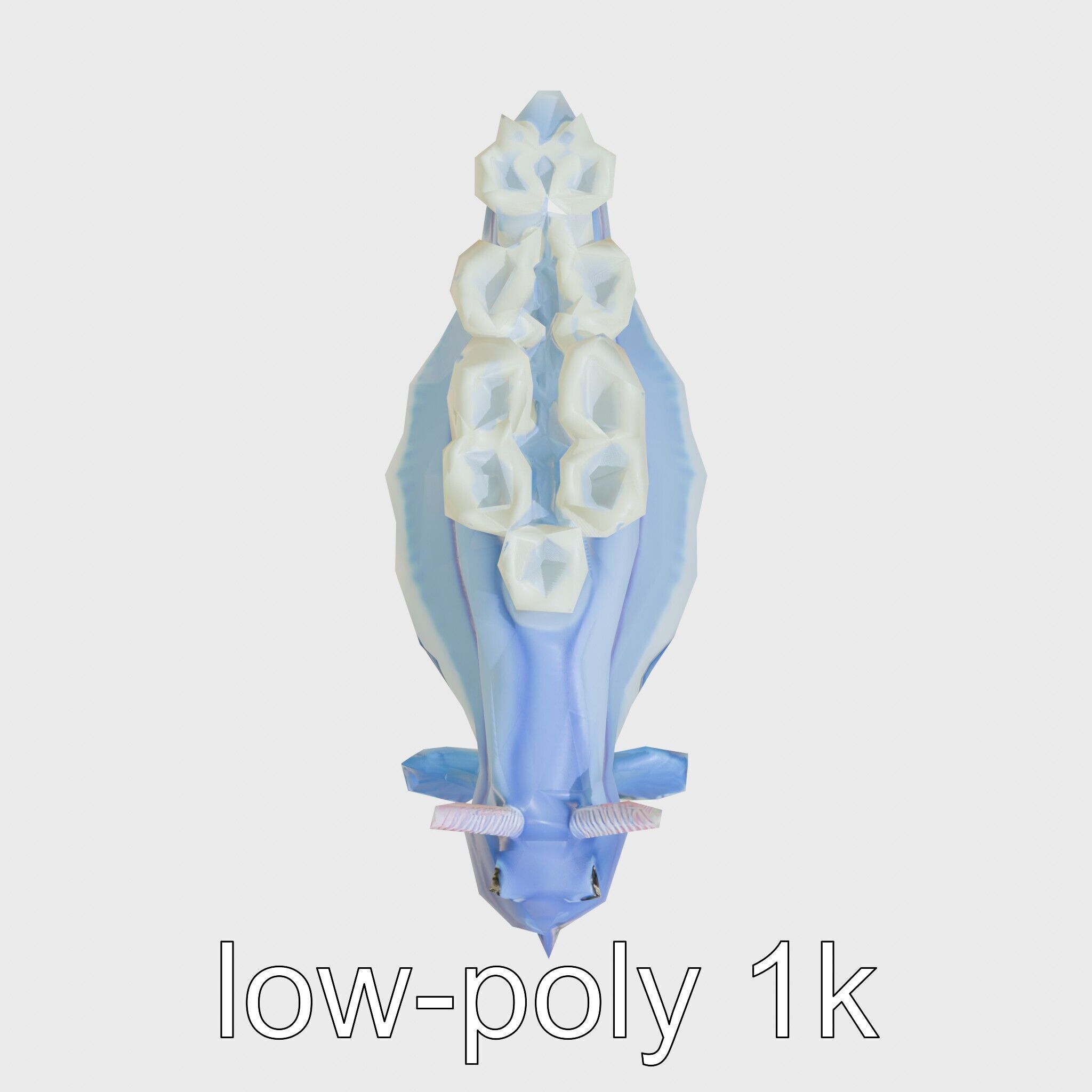 Electric Blue Nudibranch Sea Creature Model Low-poly 3D model_26